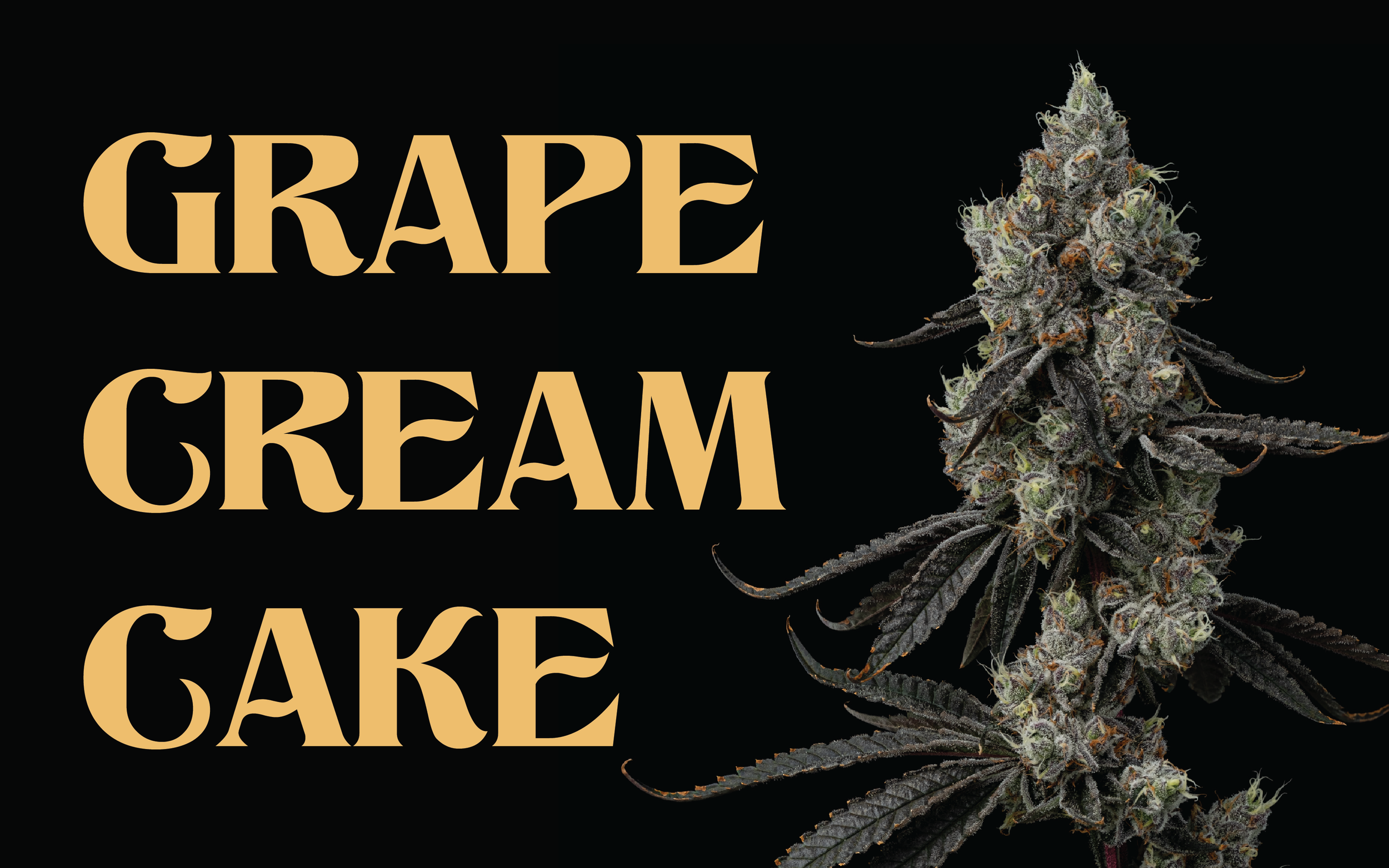 Grape Cream Cake Reviews