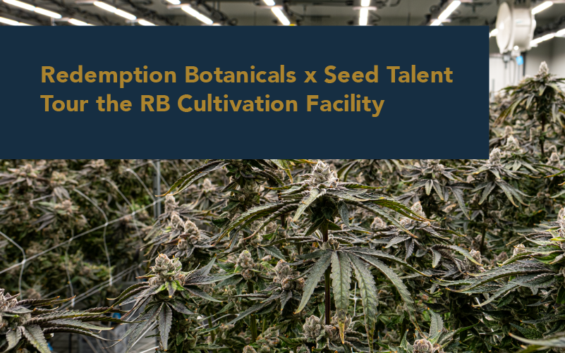 New Seed Talent Course: RB From Seed to Jar.