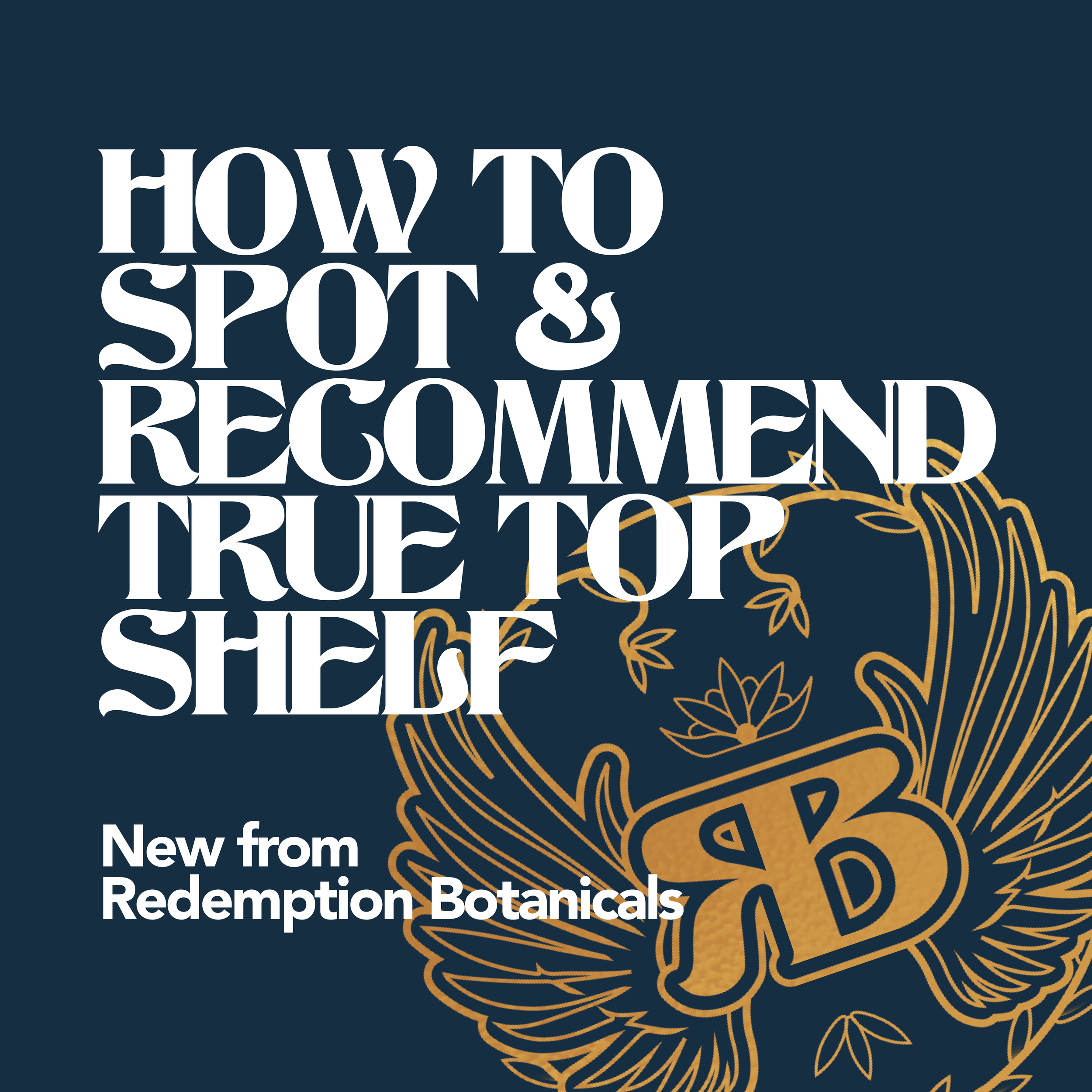 RB SD New Training Slides-01.png