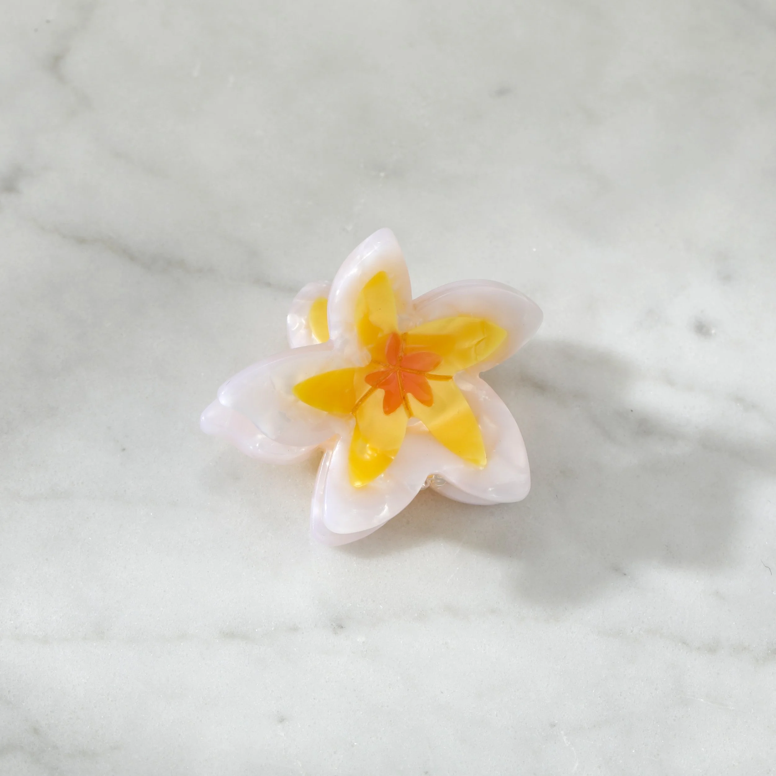 060A9258.JPG