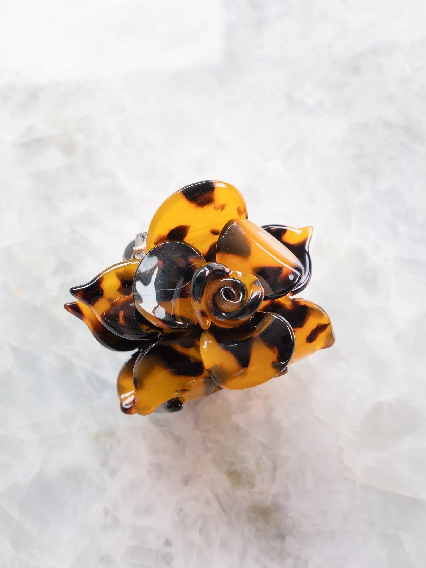 Tortoise Rose 🌹 the perfect transition to Fall hair