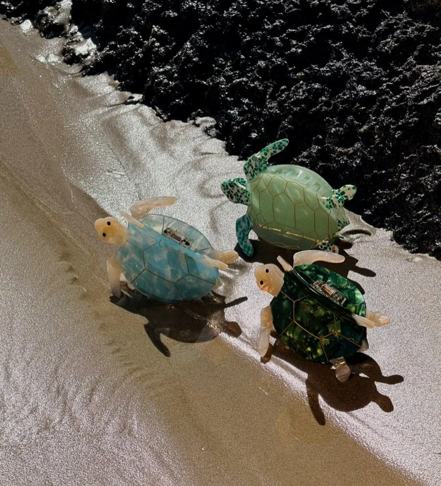 Heading back to the ocean 🐢🌊 Which one is your favorite?

styleofhaven.com

#hairclipsbeach #oceaninspired #summeraccessories #beachaesthetic #coastalstyle