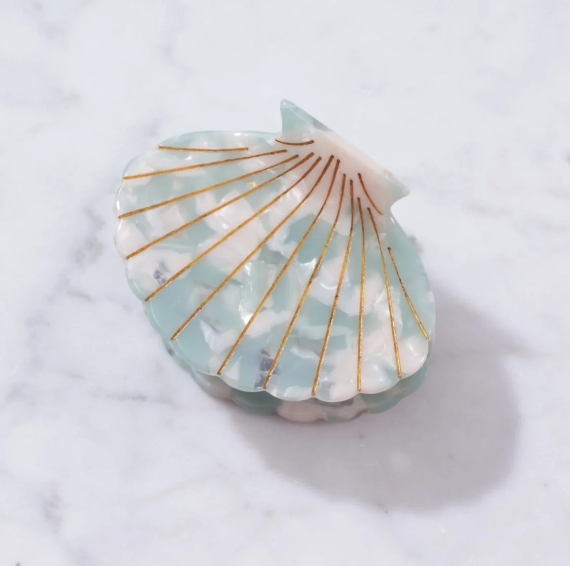 Large Scallop Shell Ocean.jpg