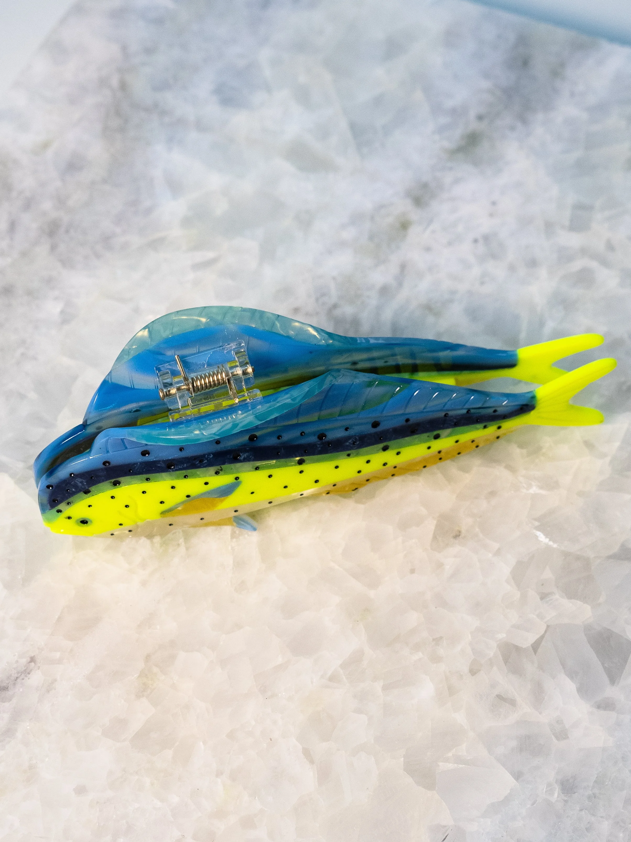 Mahi Mahi_1076995.jpg