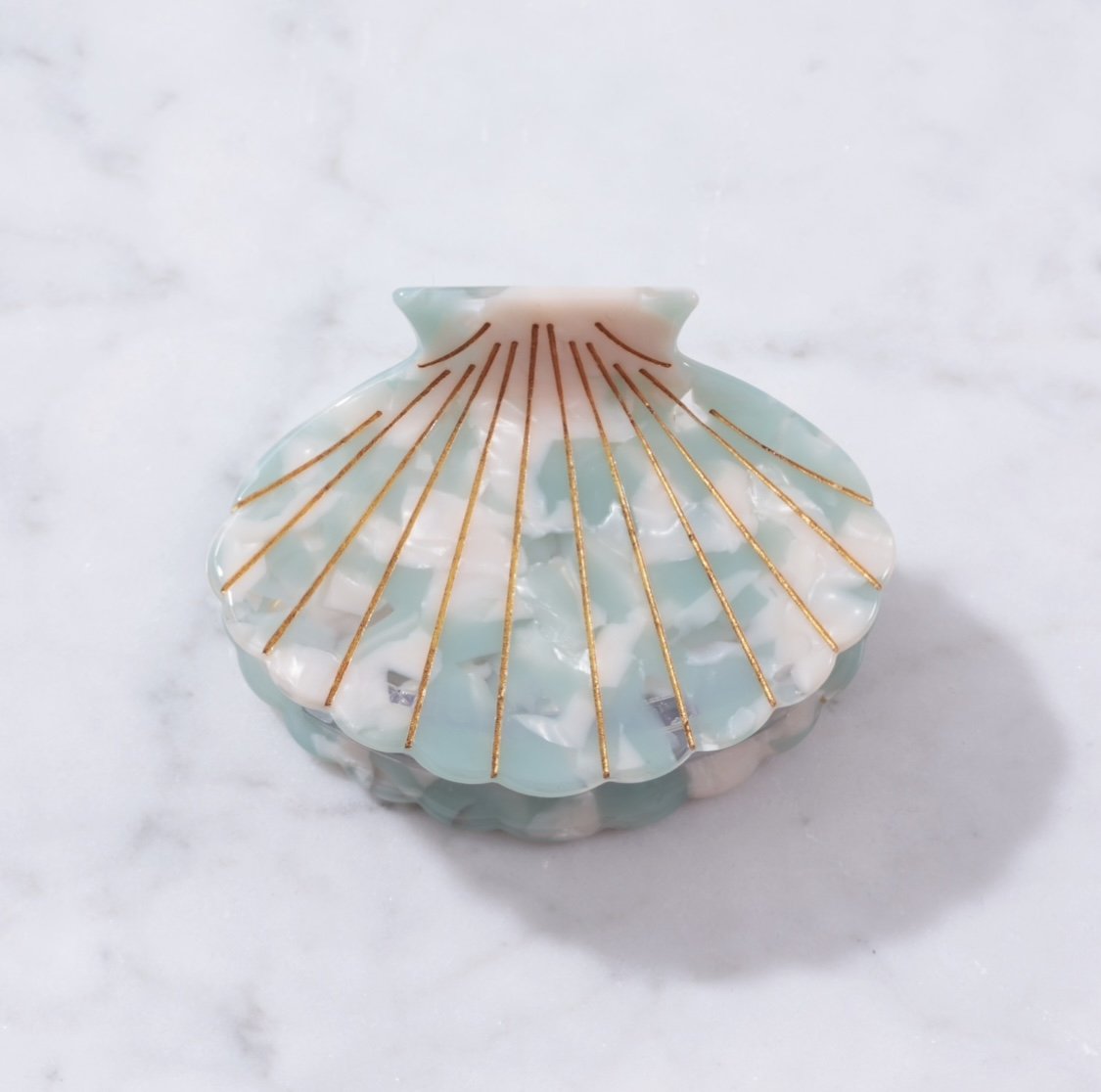 Large Scallop Shell Ocean.jpg