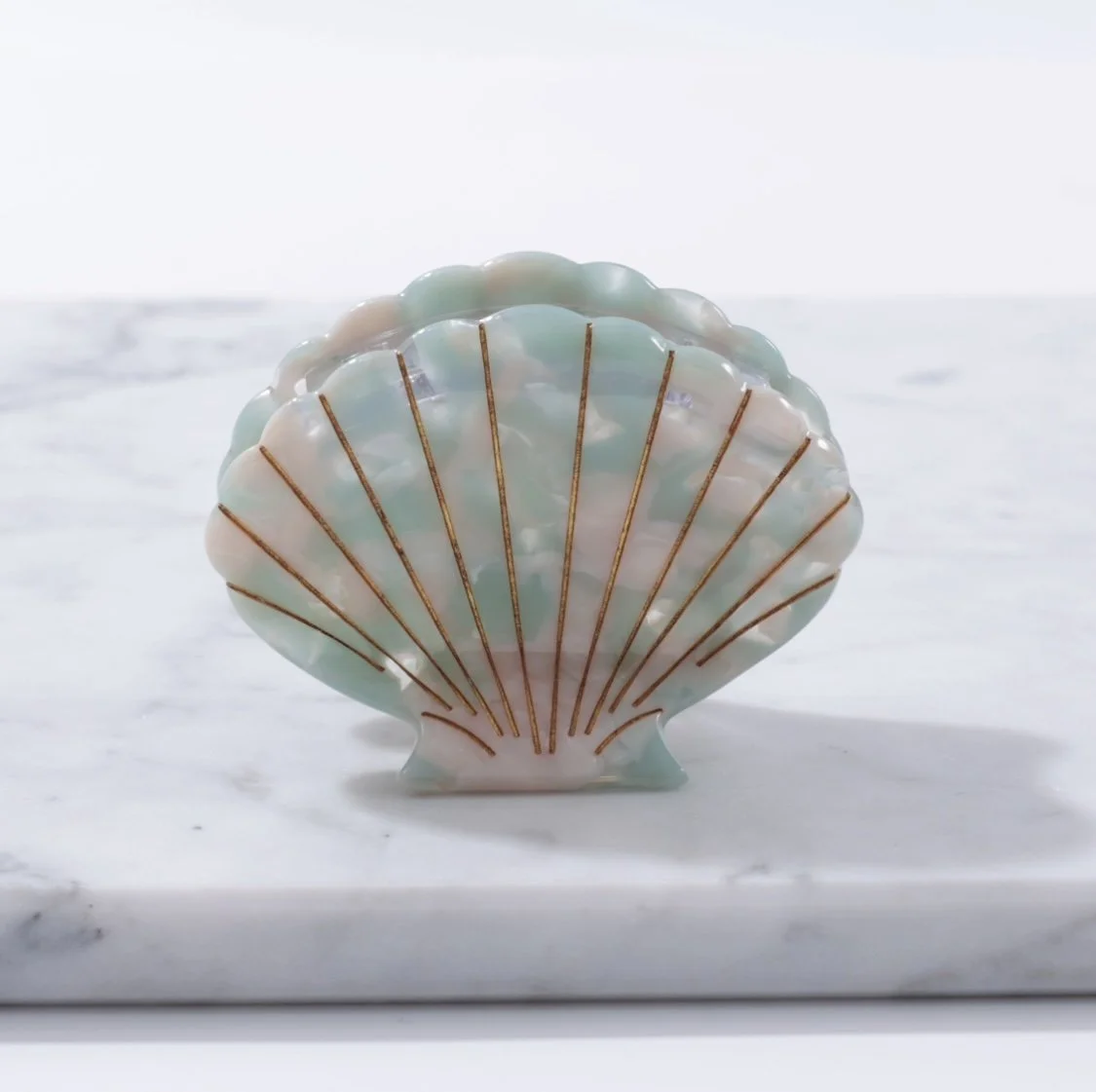 Large Scallop Shell Ocean.jpg