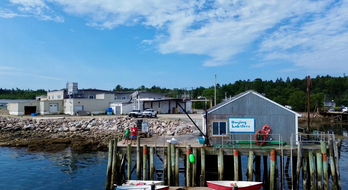 Welcome to MarketShare, @bold_coast_seafood 🦞 

Based out of Prospect Harbor, Bold Coast Seafood is bringing new life to a historic working waterfront with sustainability, science, and top-tier seafood at the center of it all.

With a deepwater dock