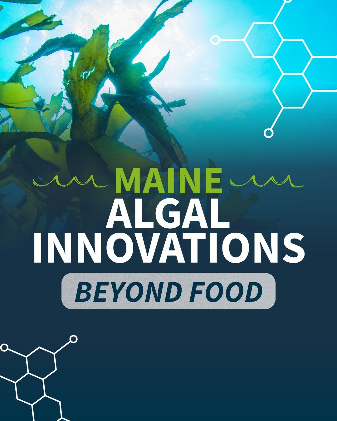 @Join the Maine Center for Entrepreneurs and industry partners during Maine Seaweed Week for a panel discussion on one of the most promising emerging industries in Maine.

&ldquo;Algal Innovations: Beyond Food&rdquo; will explore the exciting future 