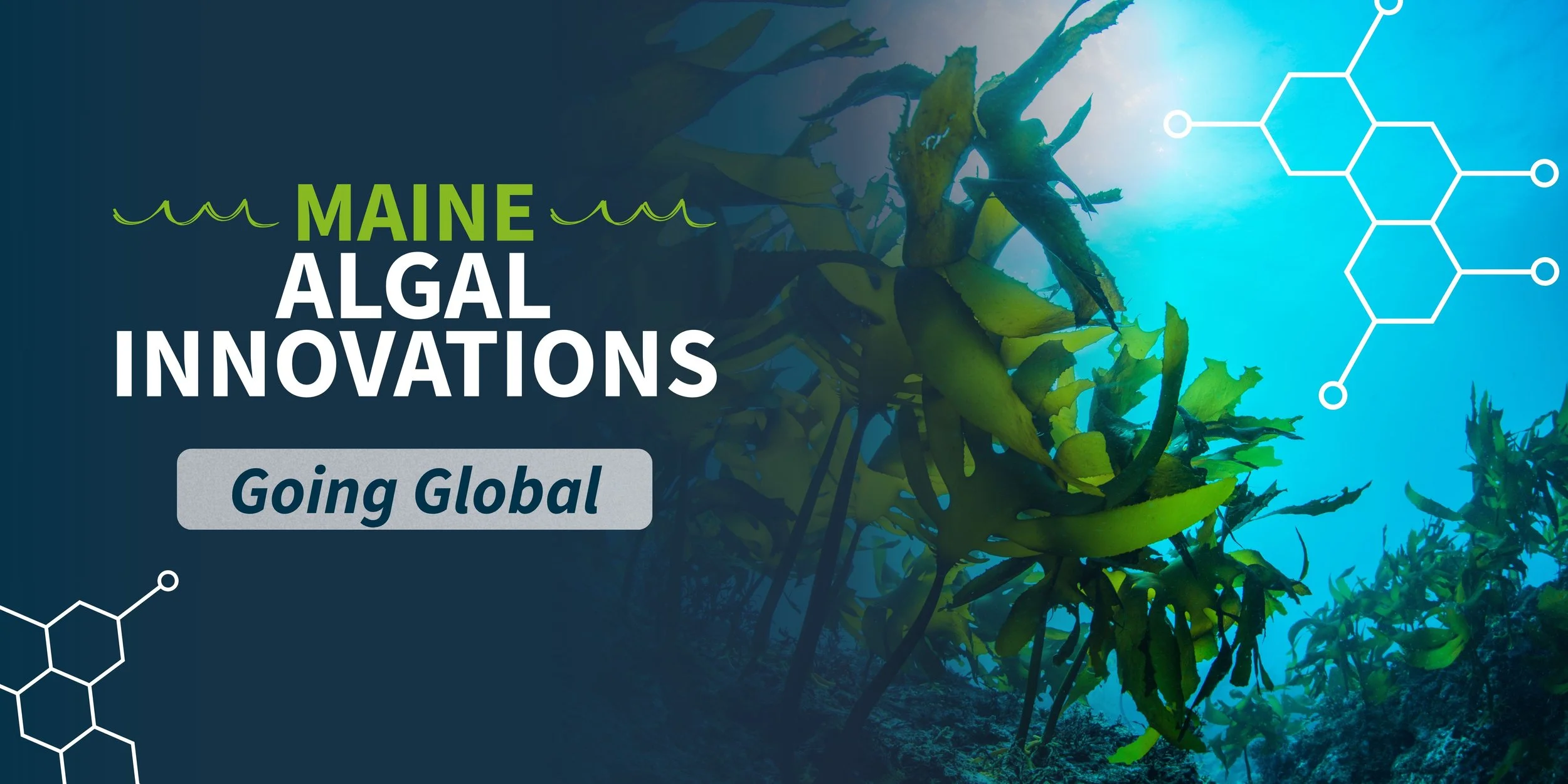 Maine Algal Innovations - Strategic Global Positioning