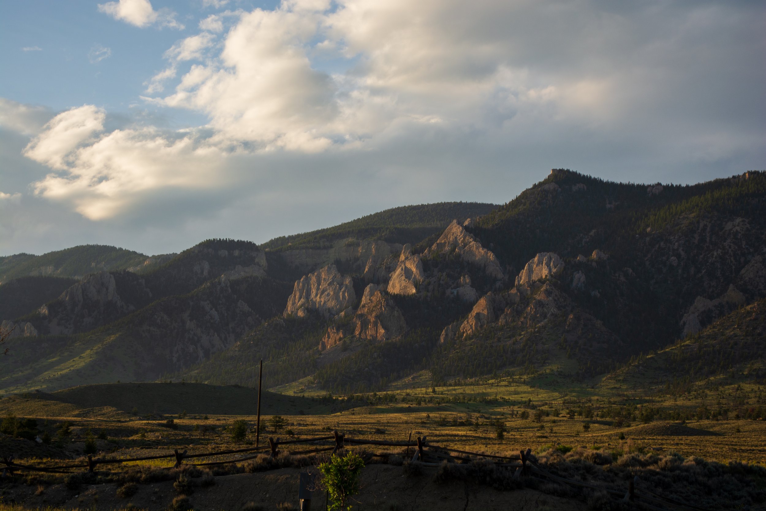 DSC_0746.jpg