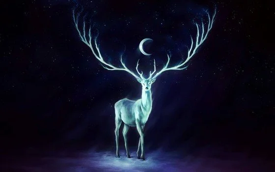 Winter Solstice Mindfulness Meditation & Mince Pies