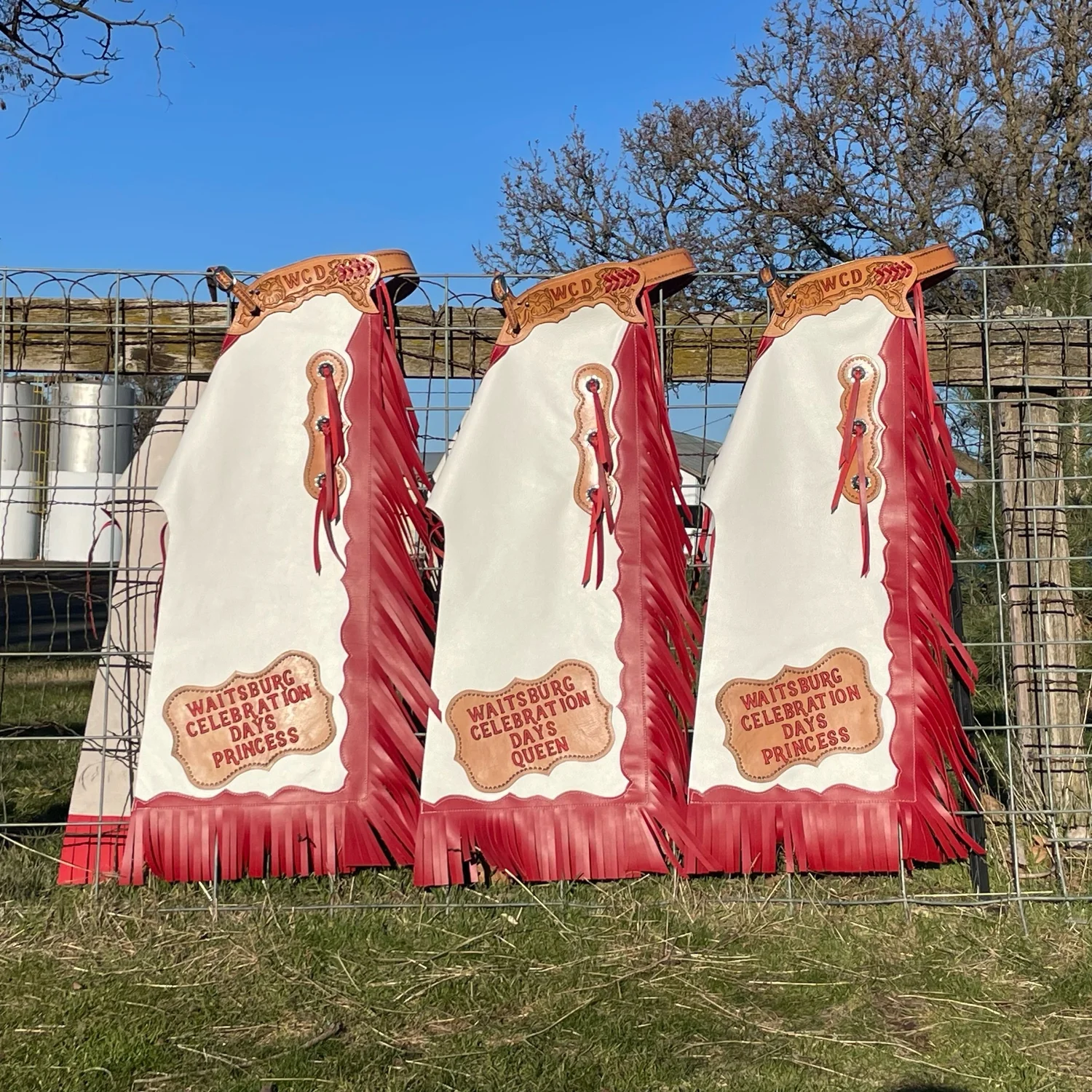 Chaps en cuir sur mesure / Chaps rodéo / Made in USA
