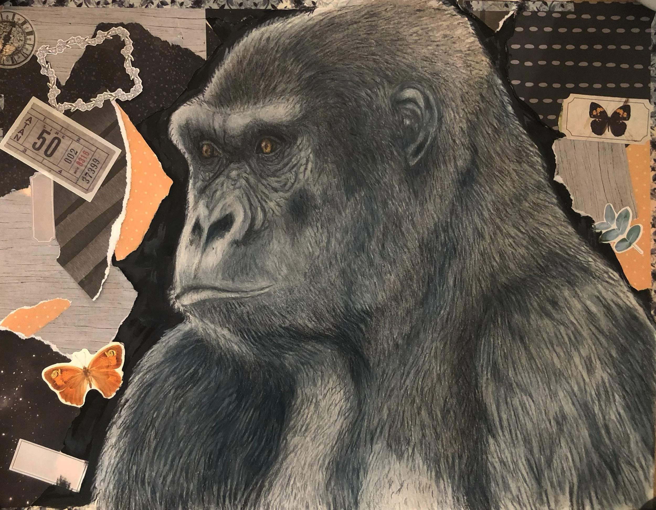 Gorilla, Colored Pencil MM, 2023