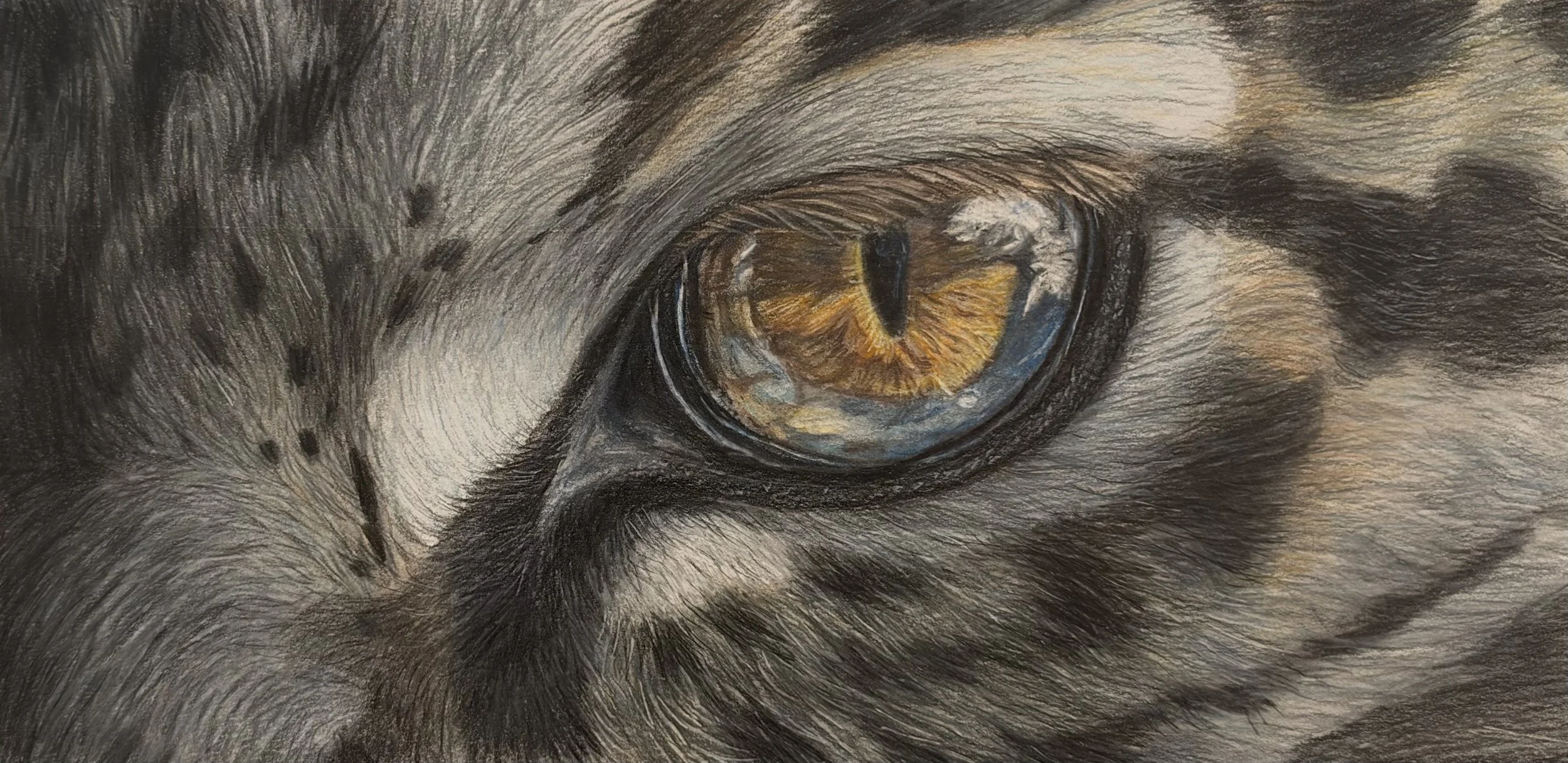 Close-up of a wolf's eye, showing detailed fur and yellow-orange iris.