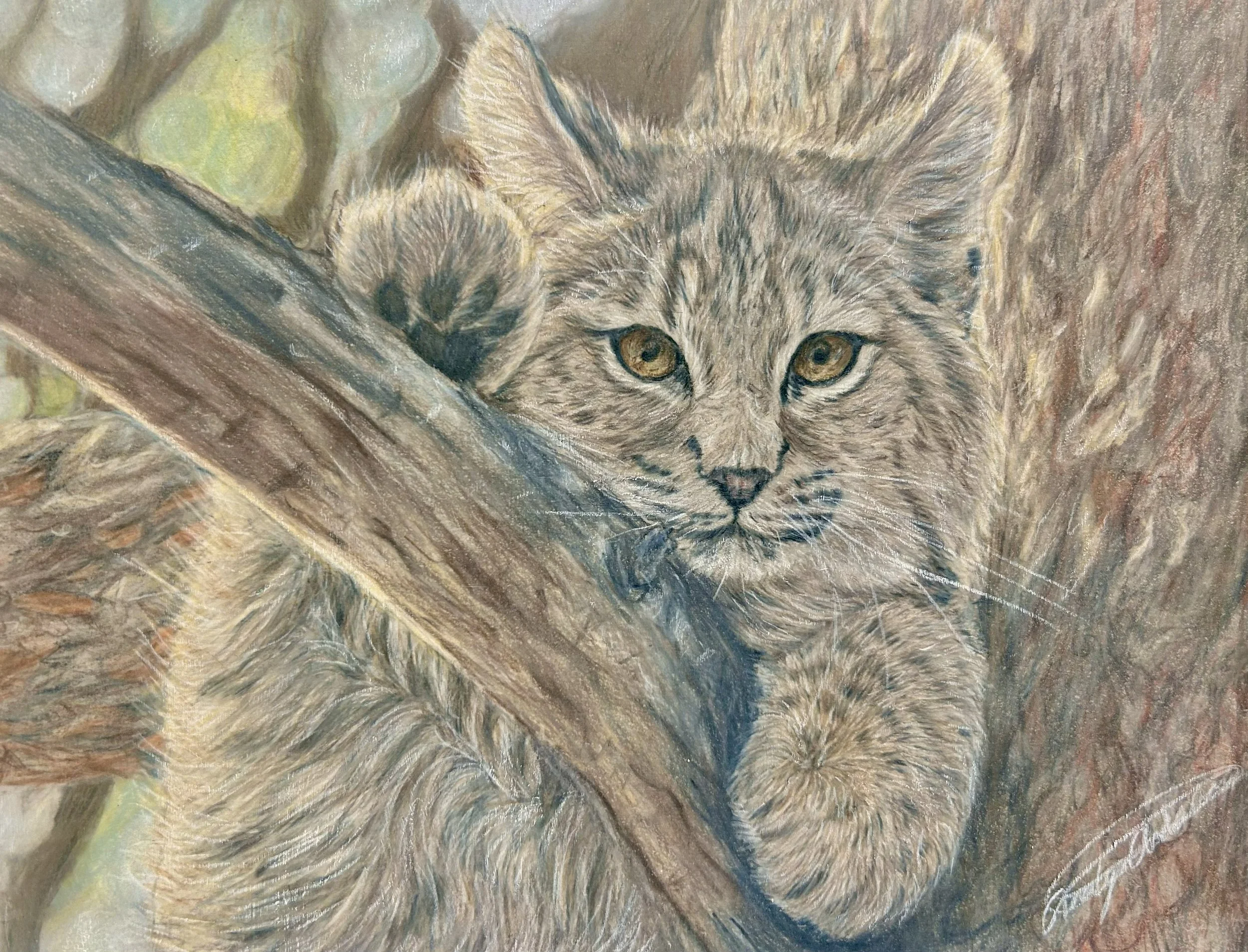 Colored Pencil