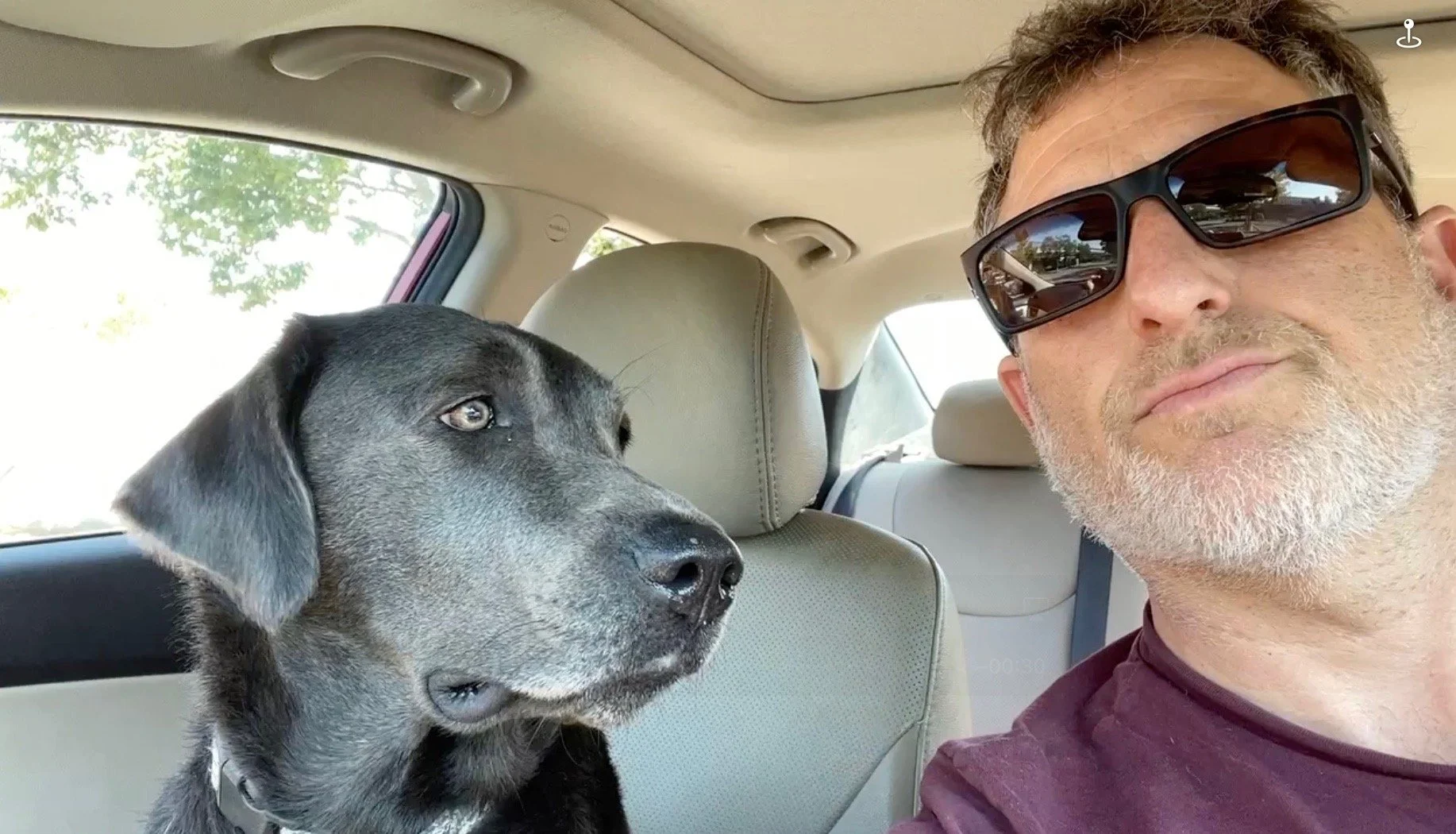 Man and dog in front seats of car.  Dog looking at man, man looking straight at camera.