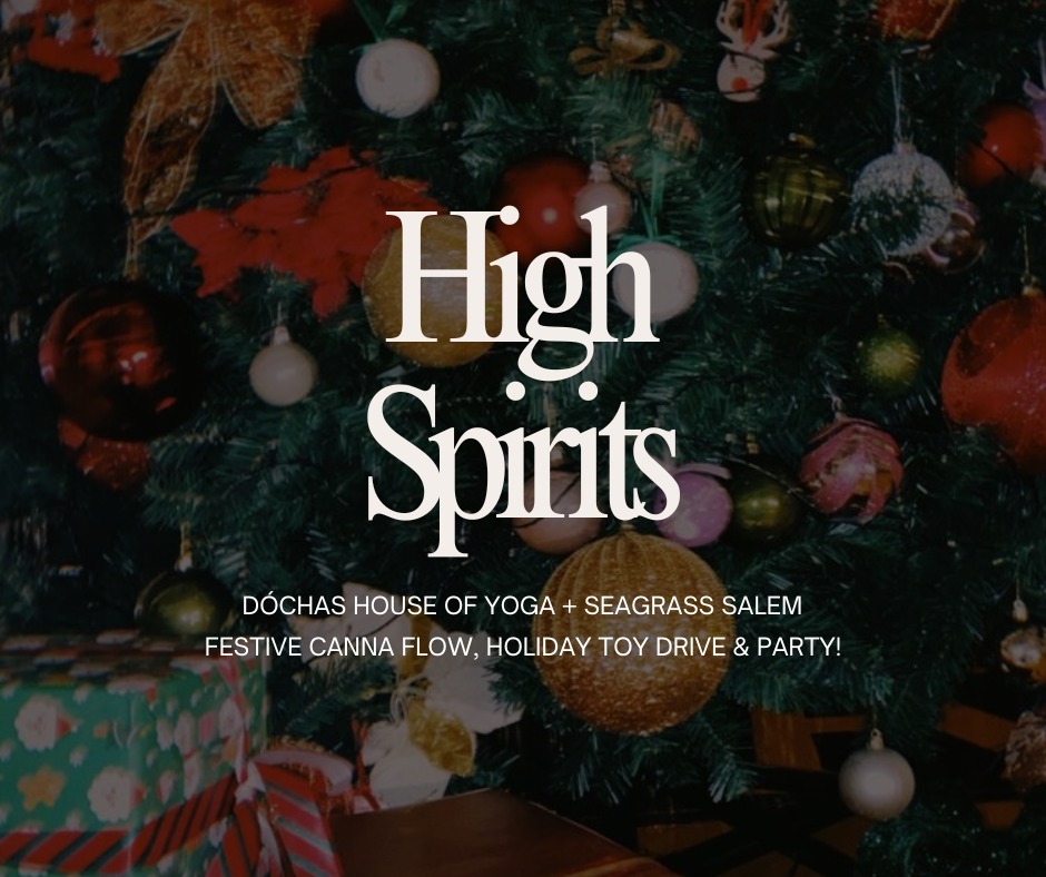 High Spirits Canna Flow + Toy Drive