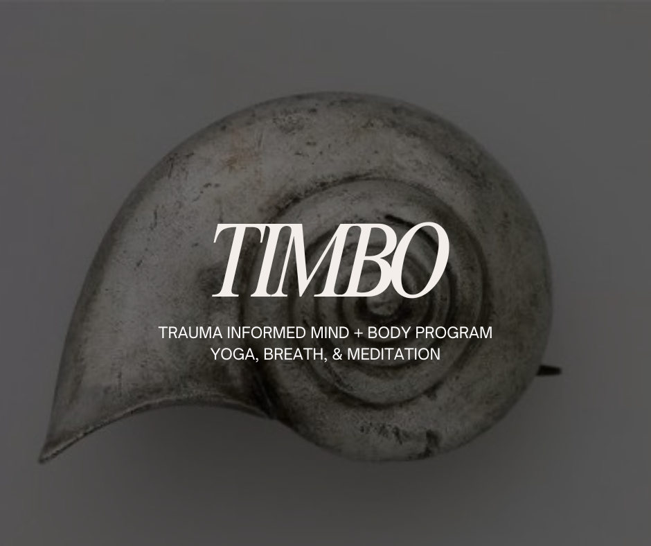 TIMBO Introduction + Reconnect Session