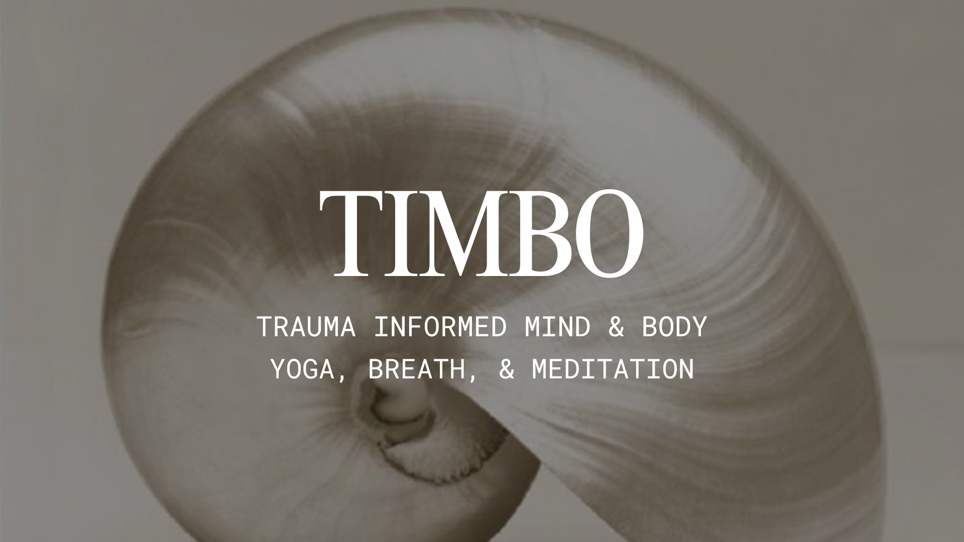 TIMBO Trauma Informed Yoga Program