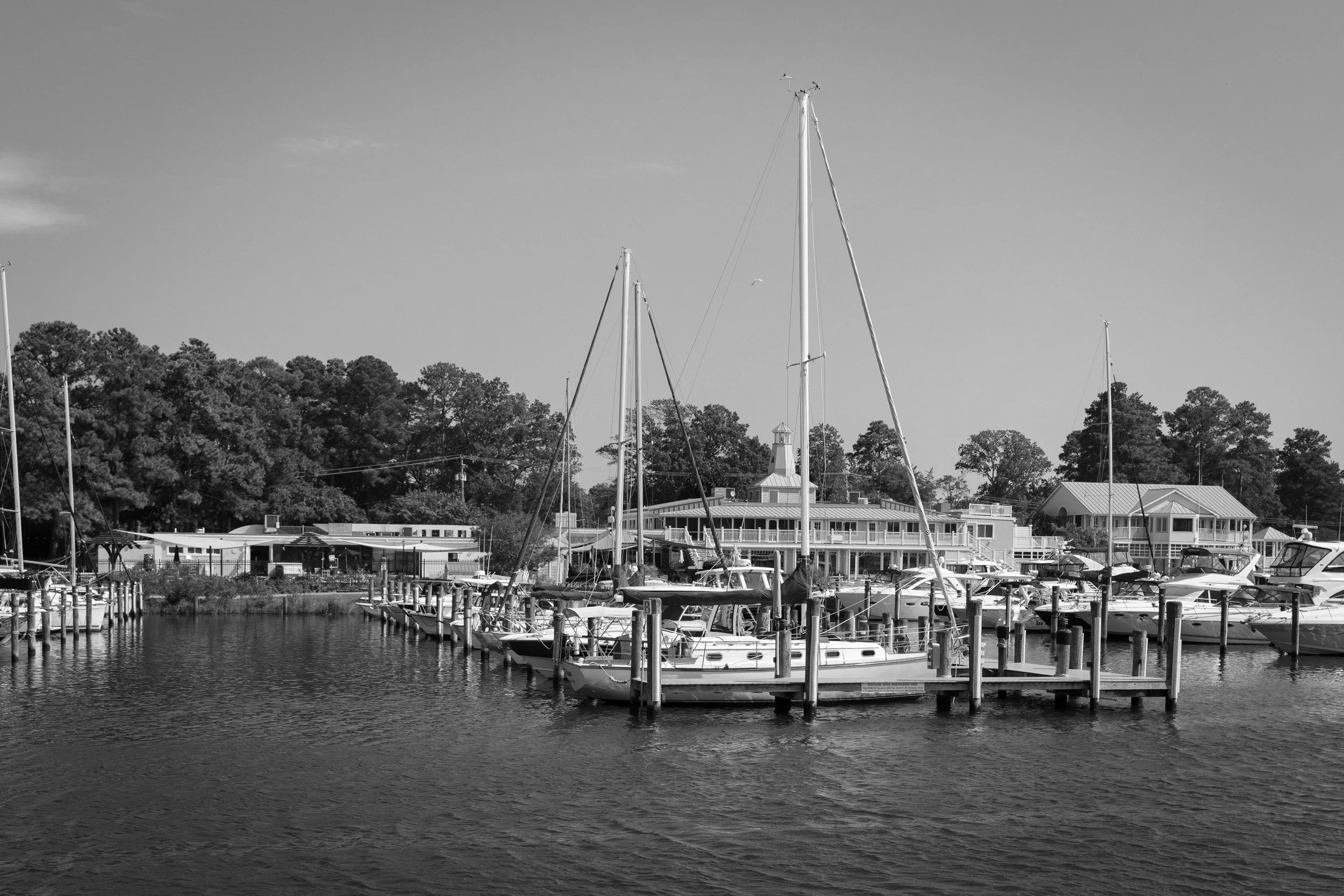 Timeless and elegant photo of sailboats at the Chesapeake bay wedding venue