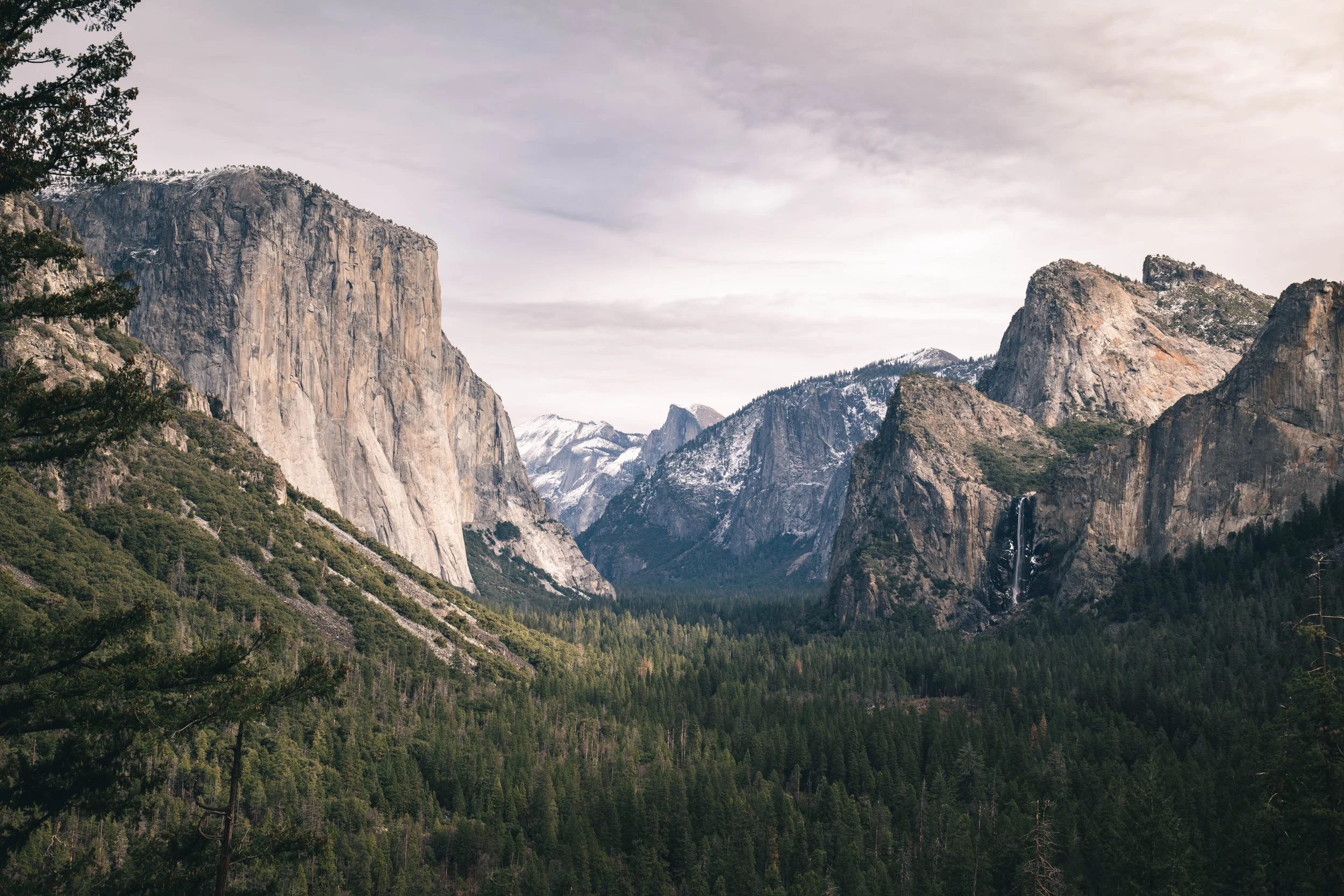 Scenic view of Yosemite National Park showing granite cliffs, dense pine forest, and a waterfall in the distance, under a cloudy sky.