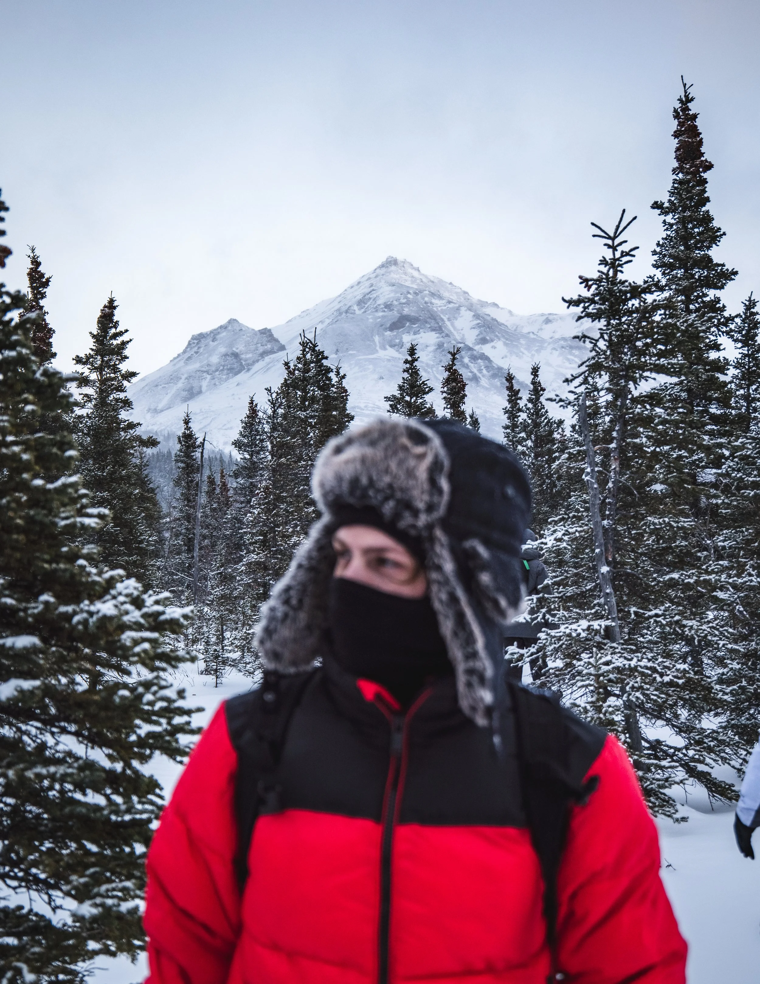 Person in red jacket and furry winter hat with face mask outdoors in snowy forest with mountains in the background.
