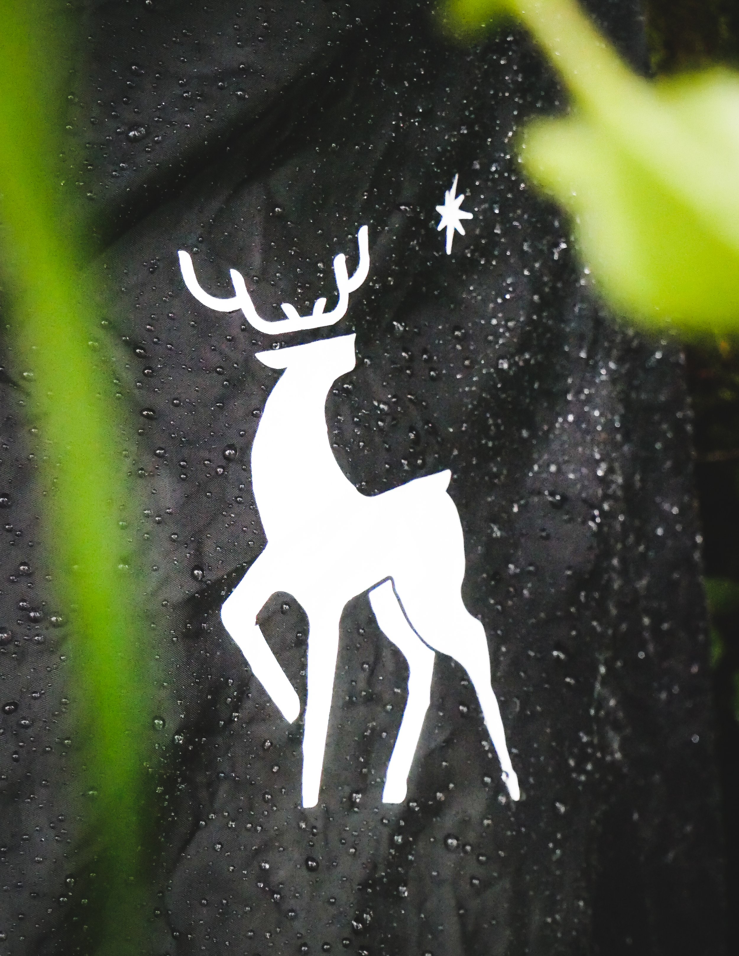 White reindeer silhouette with antlers looking at a star on a black, rain-dotted background.