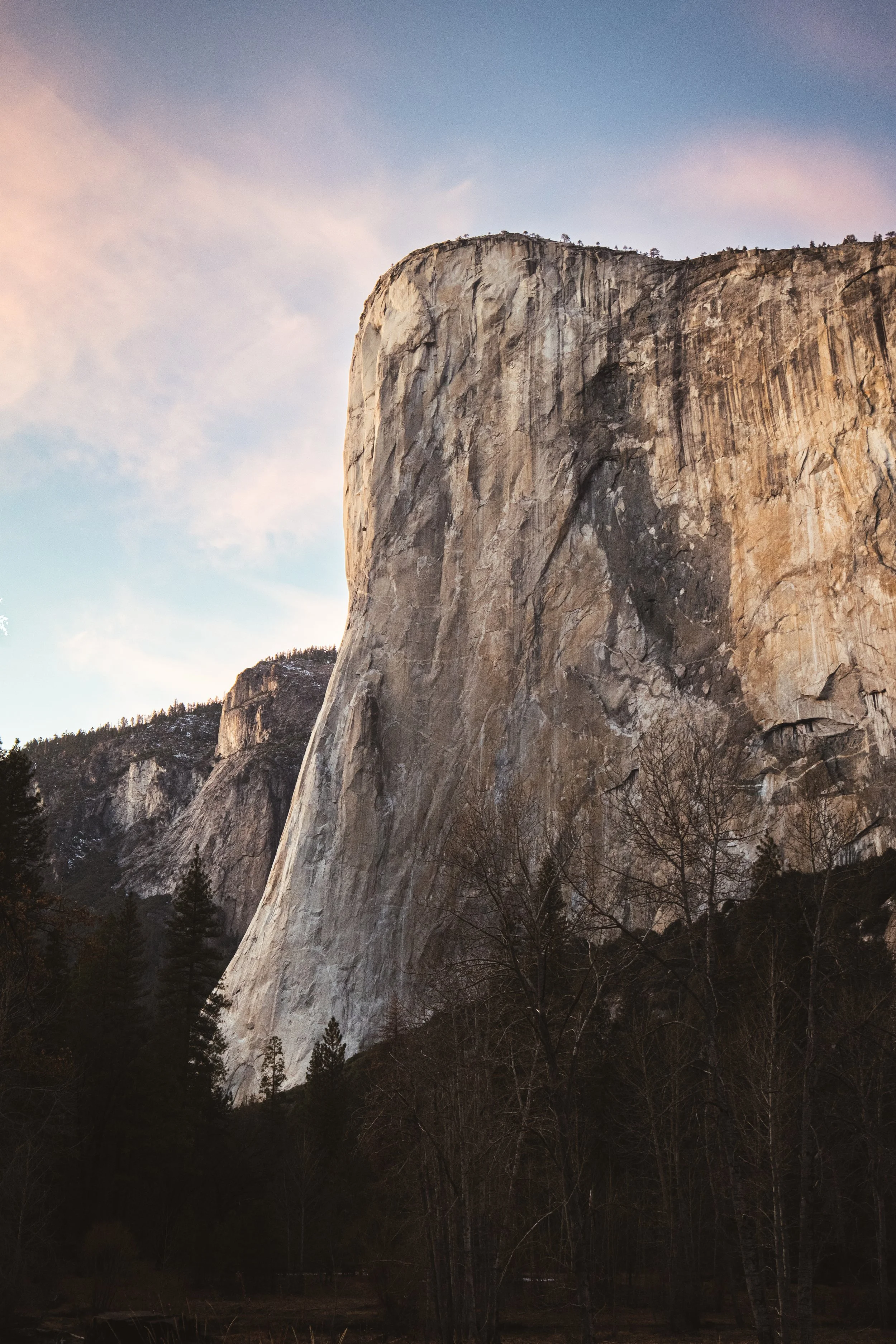 A tall granite cliff with a partly cloudy sky and forested area at its base.