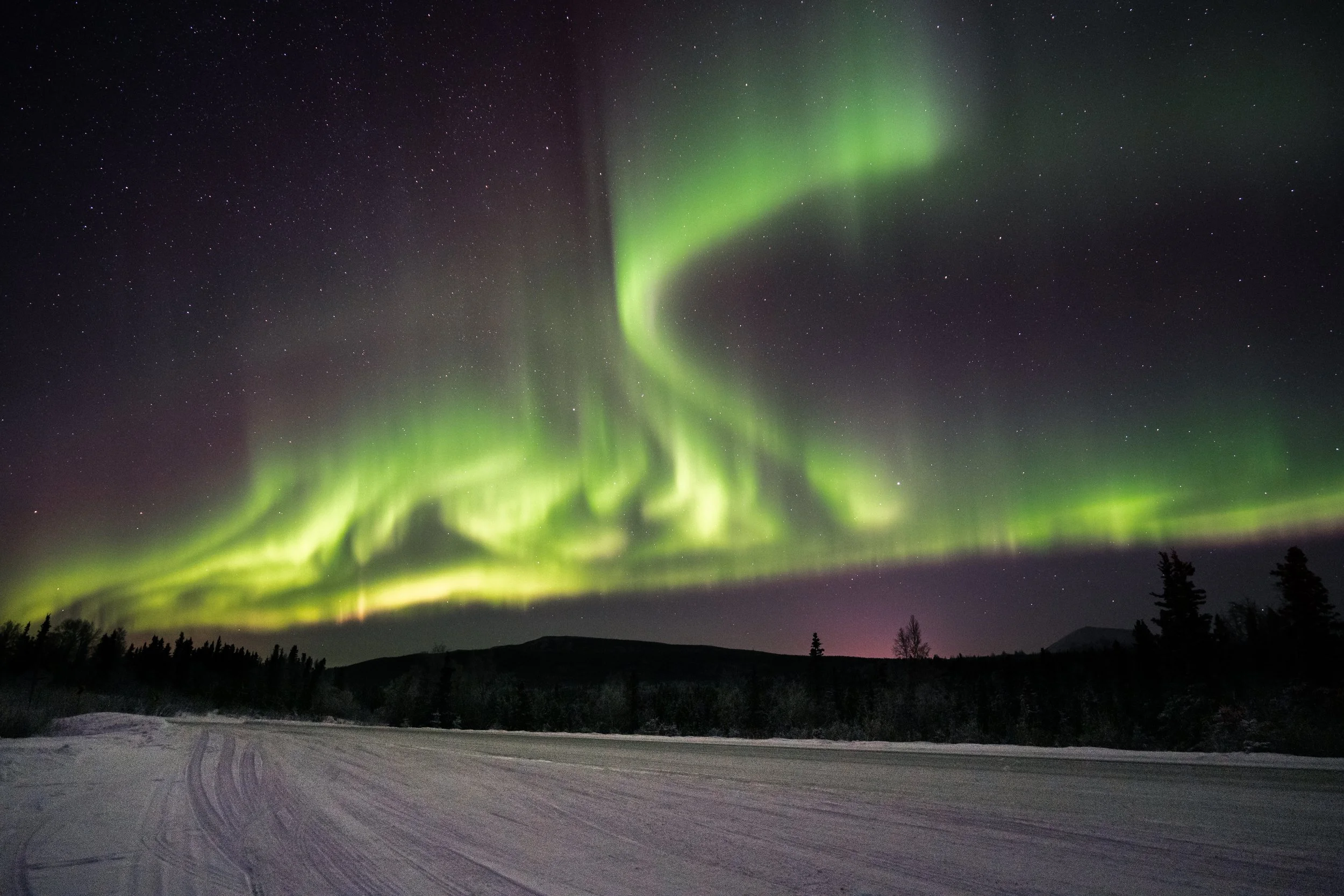 Northern Lights dancing across a starry night sky over a snowy landscape with silhouettes of trees and hills in the distance.
