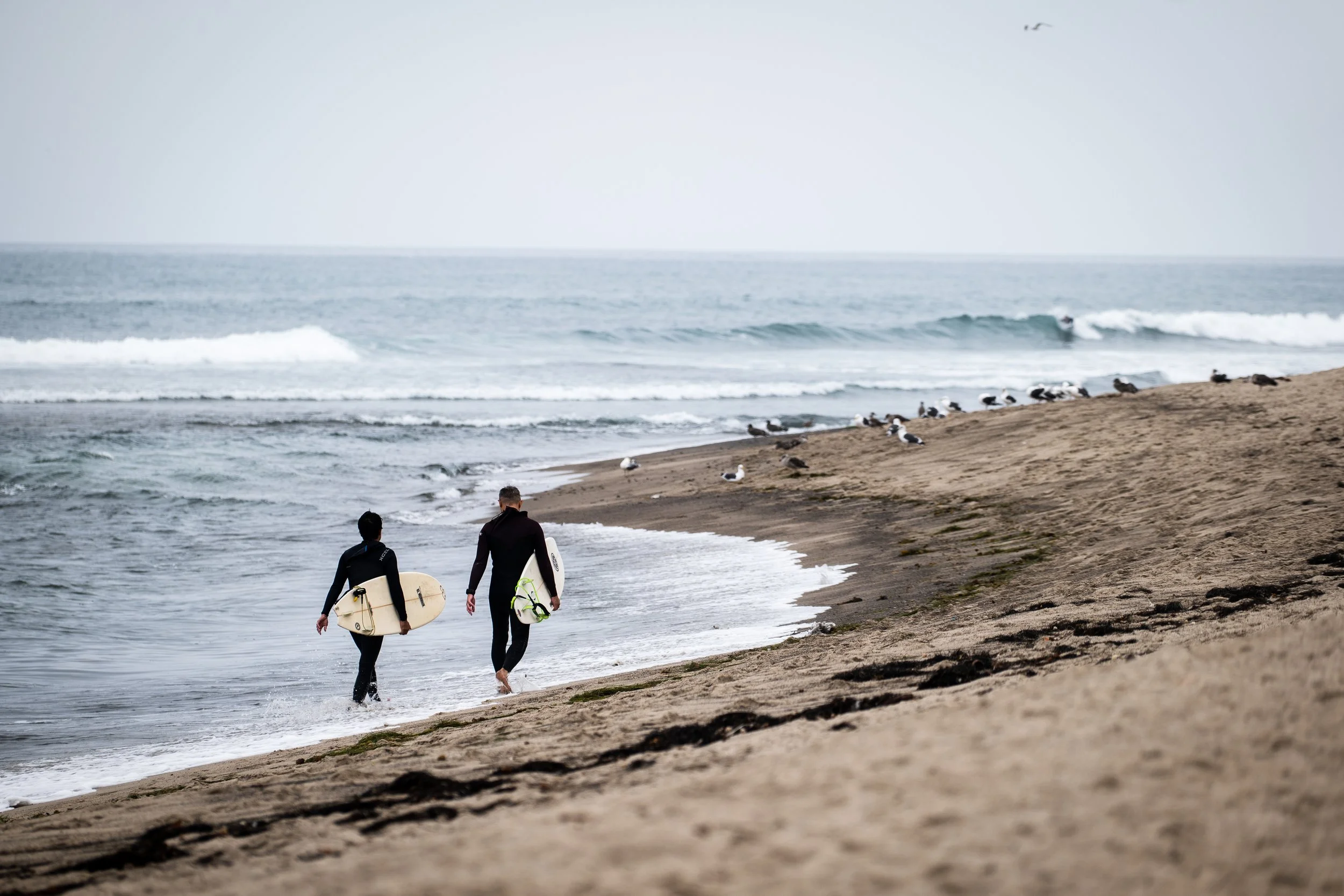 Two surfers walking along the shoreline on a sandy beach, carrying surfboards. Seagulls are resting on the sand, and the ocean waves are visible in the background under an overcast sky.