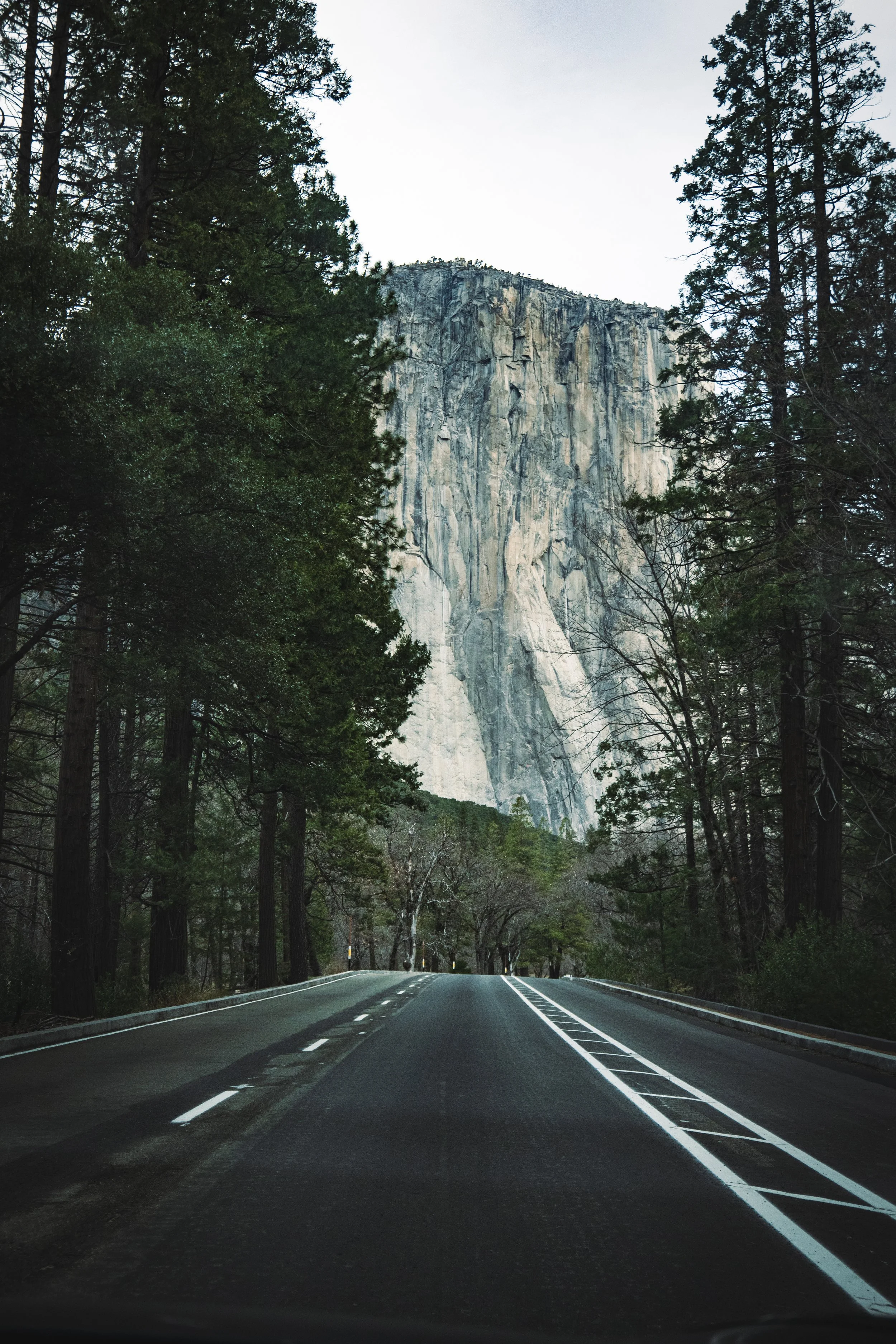 A mountain landscape with a road running through a forest of tall trees, leading towards a large granite cliff in the distance under an overcast sky.