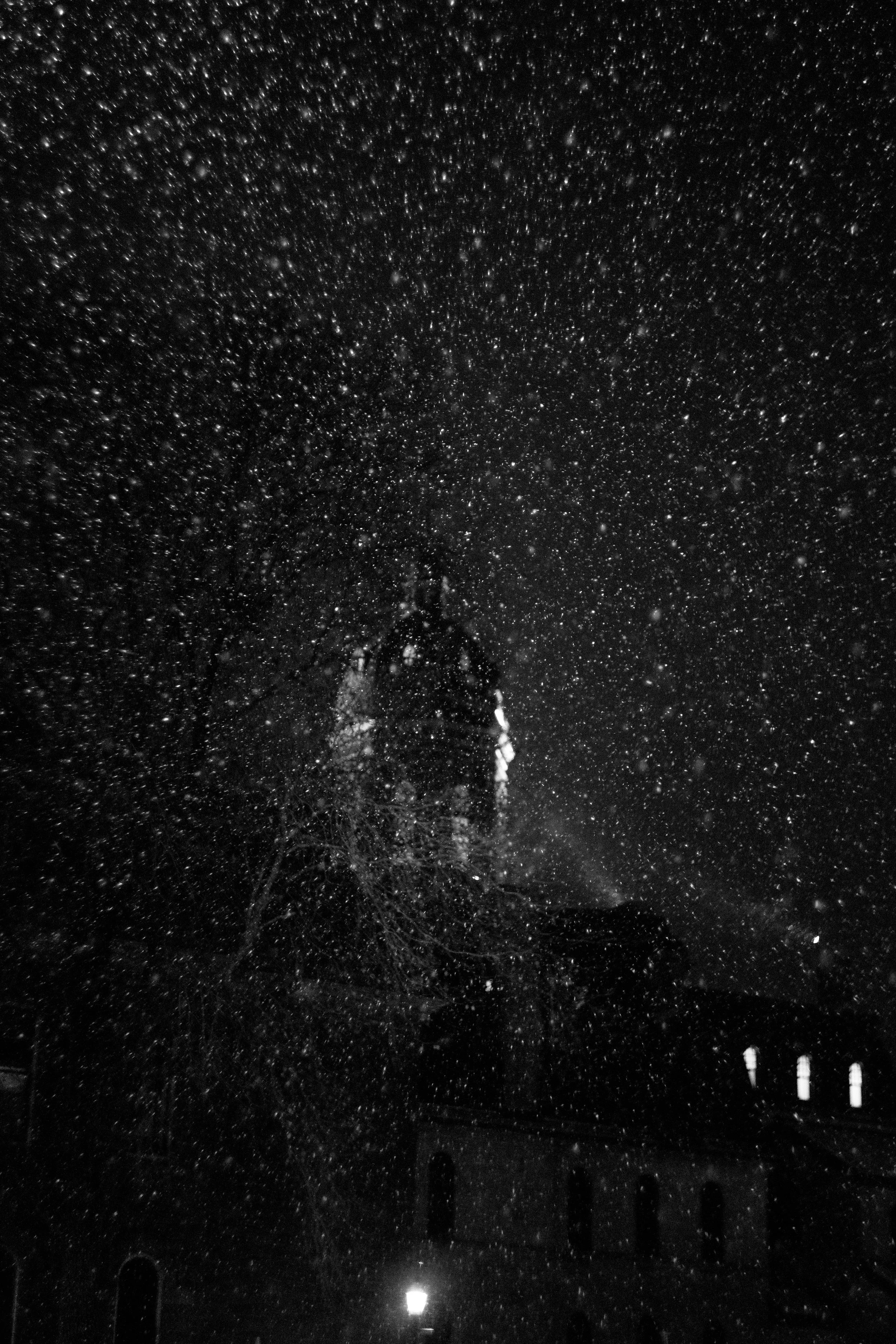 Photowalk_ Nov30-17.jpg