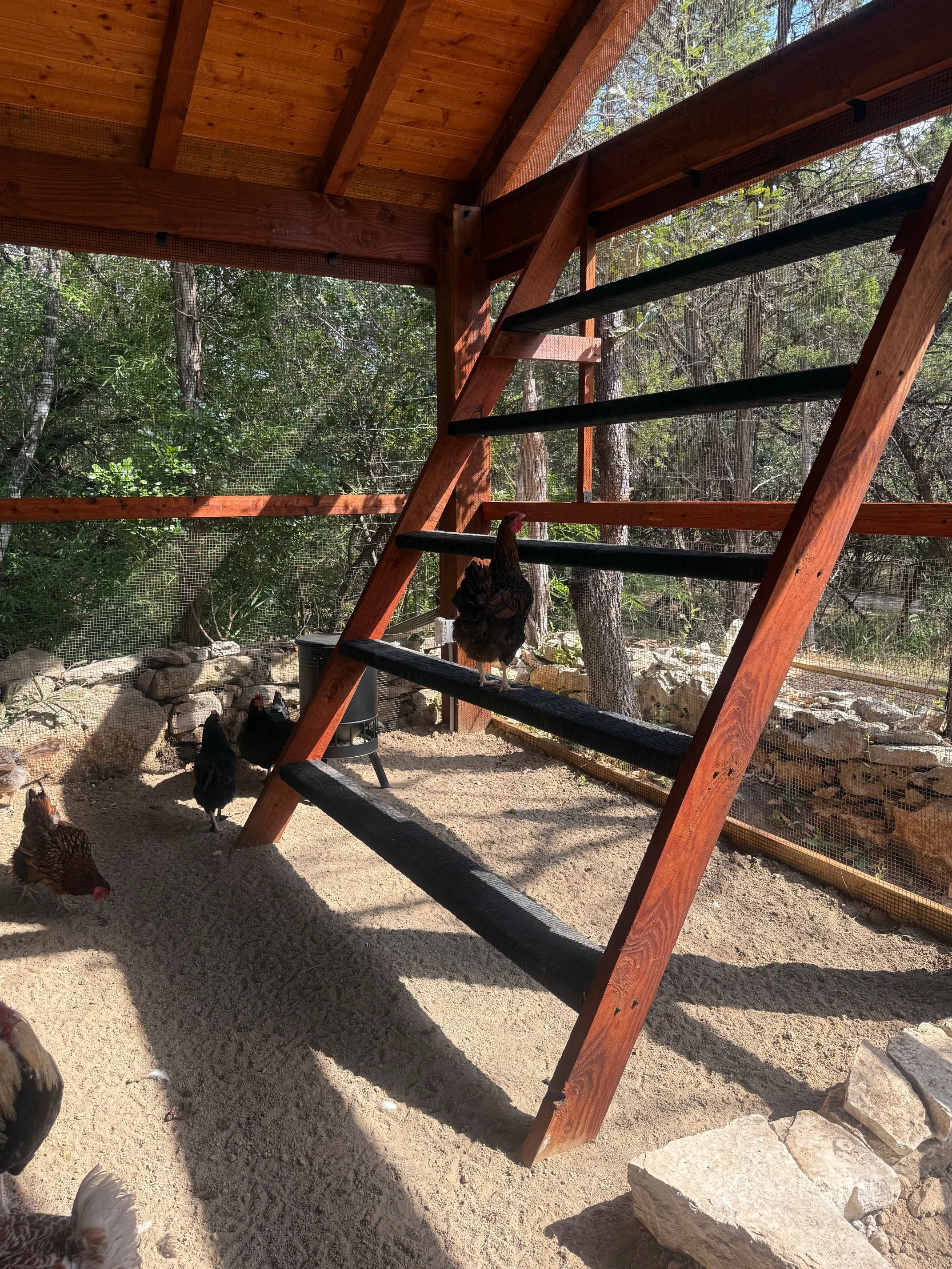 roosting bars 4.jpeg