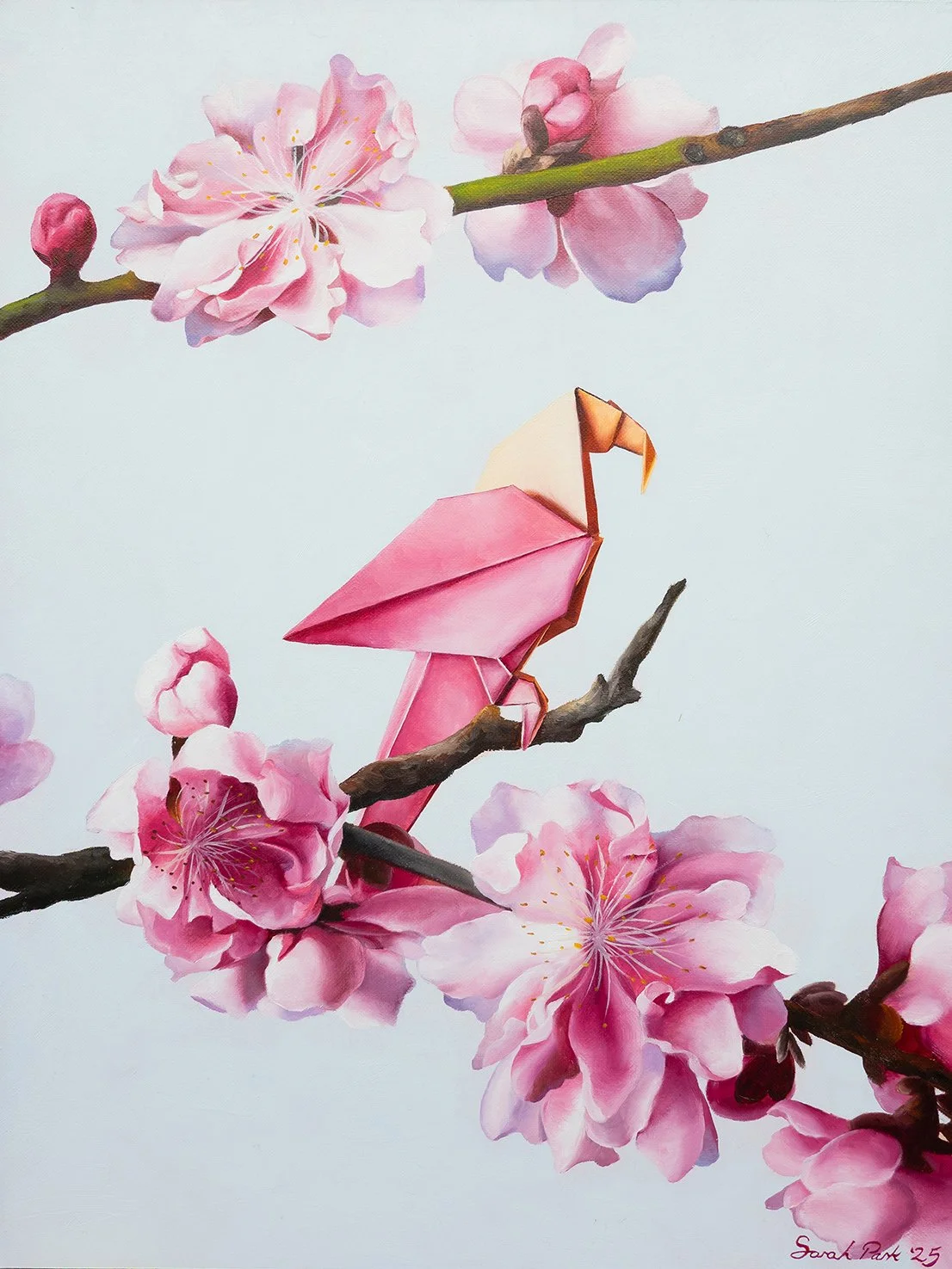 Harmony in Pink by Sarah Park