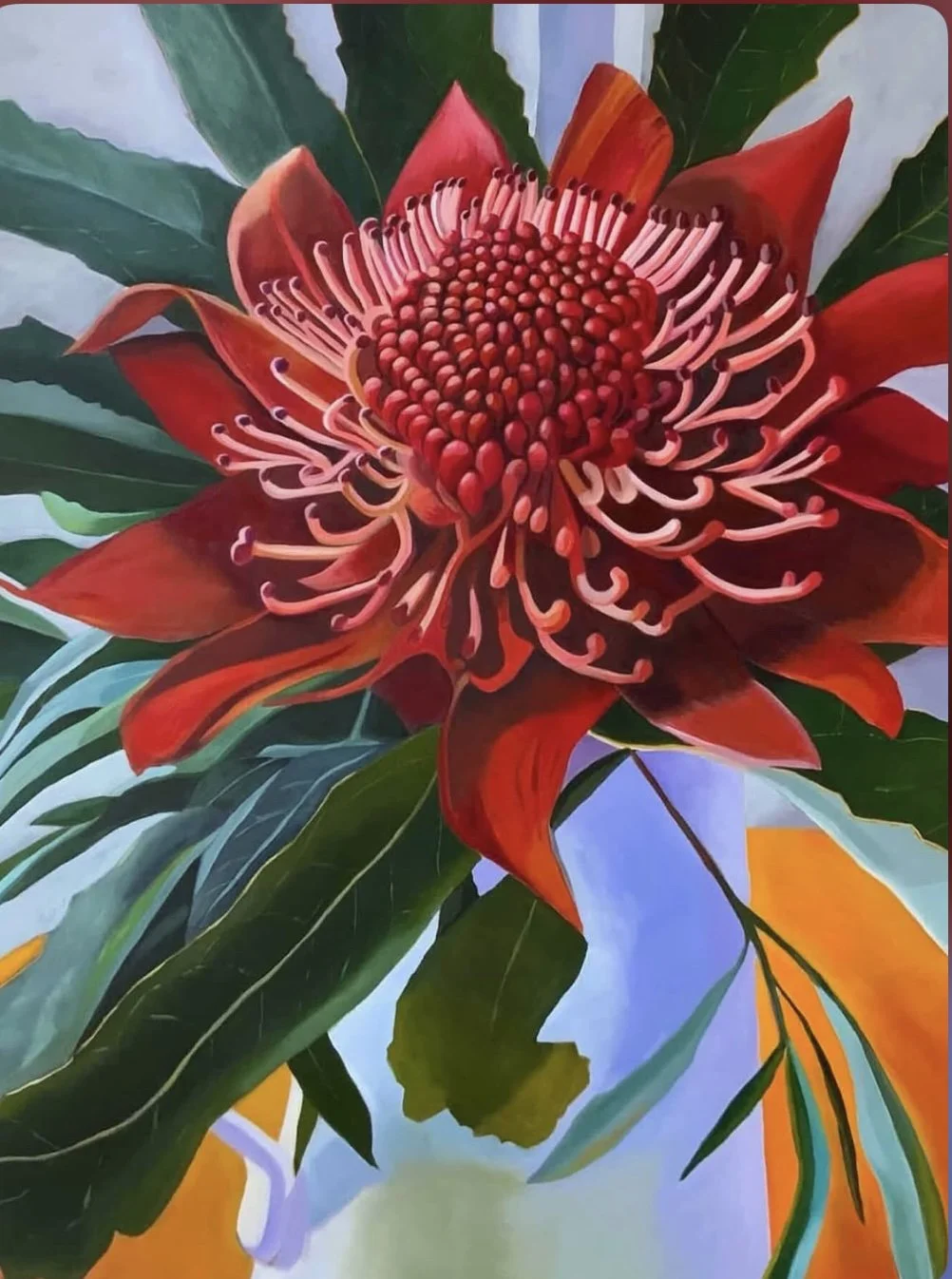 Wonderful Waratah