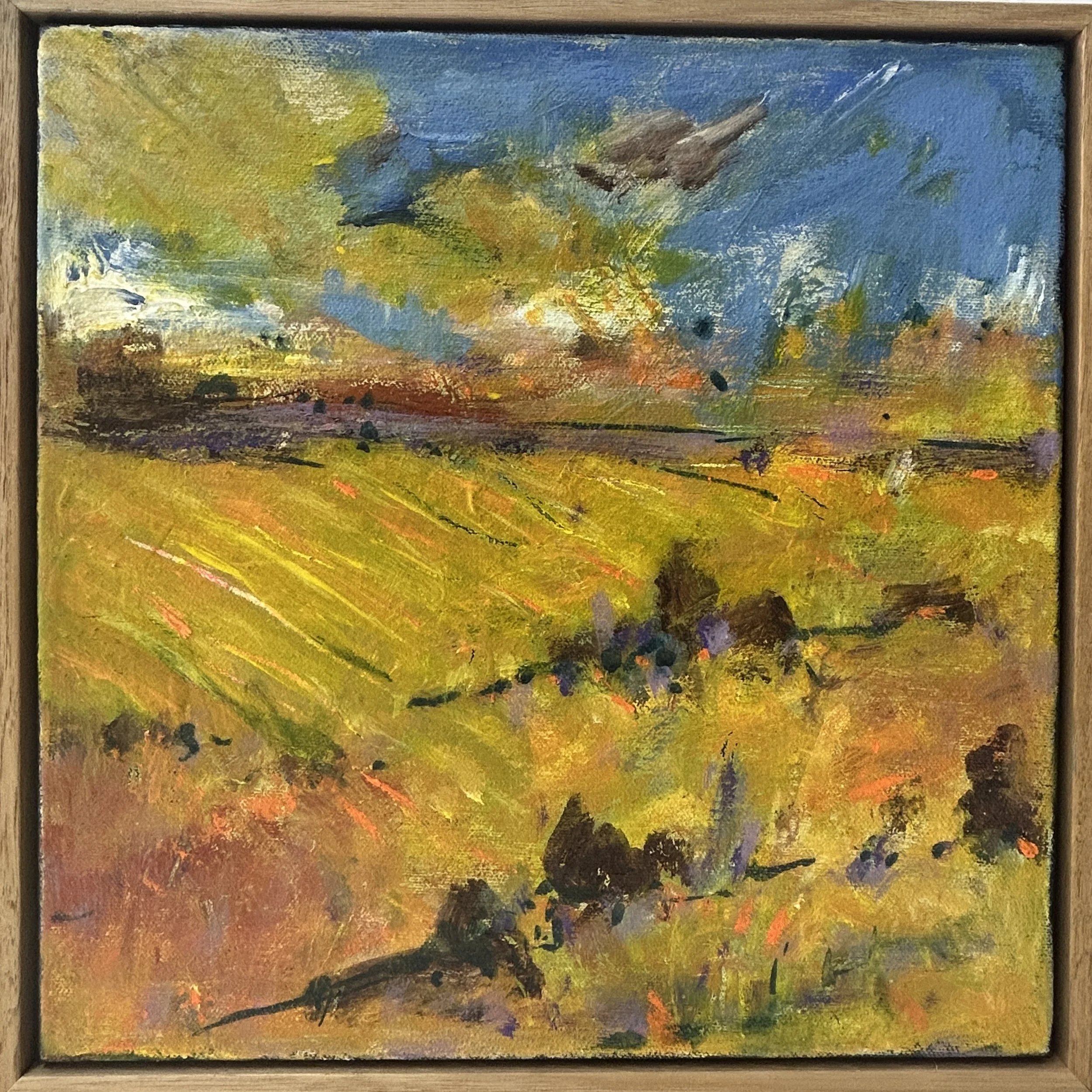 "Sunshine on Canola" by Rhonda Campbell
