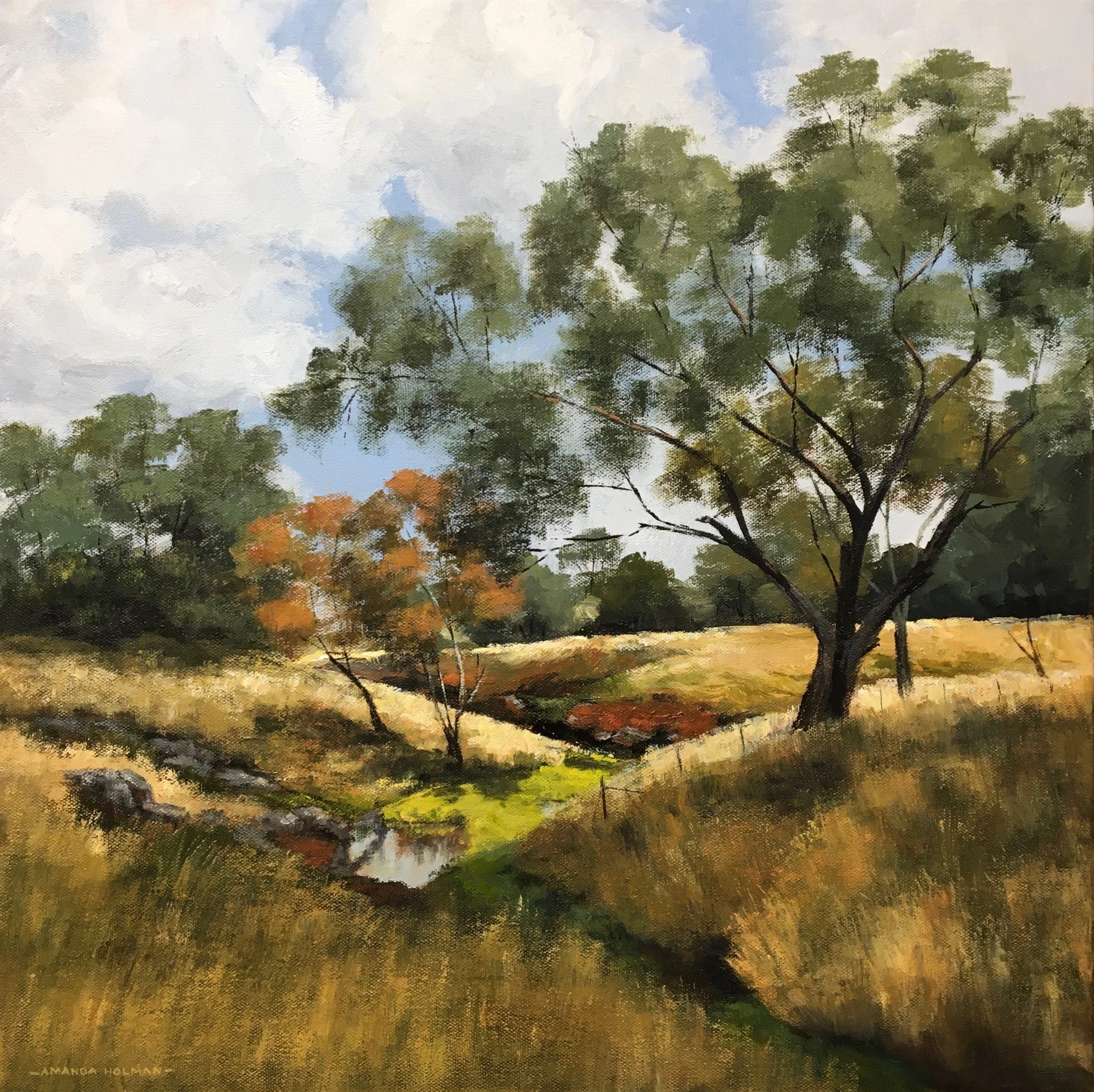 “Spring colours and creek wandering”