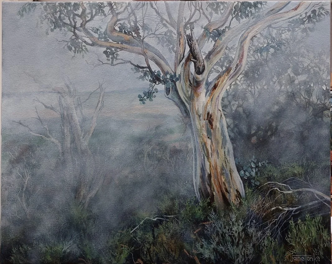 "A misty morning" by Jane Tonks