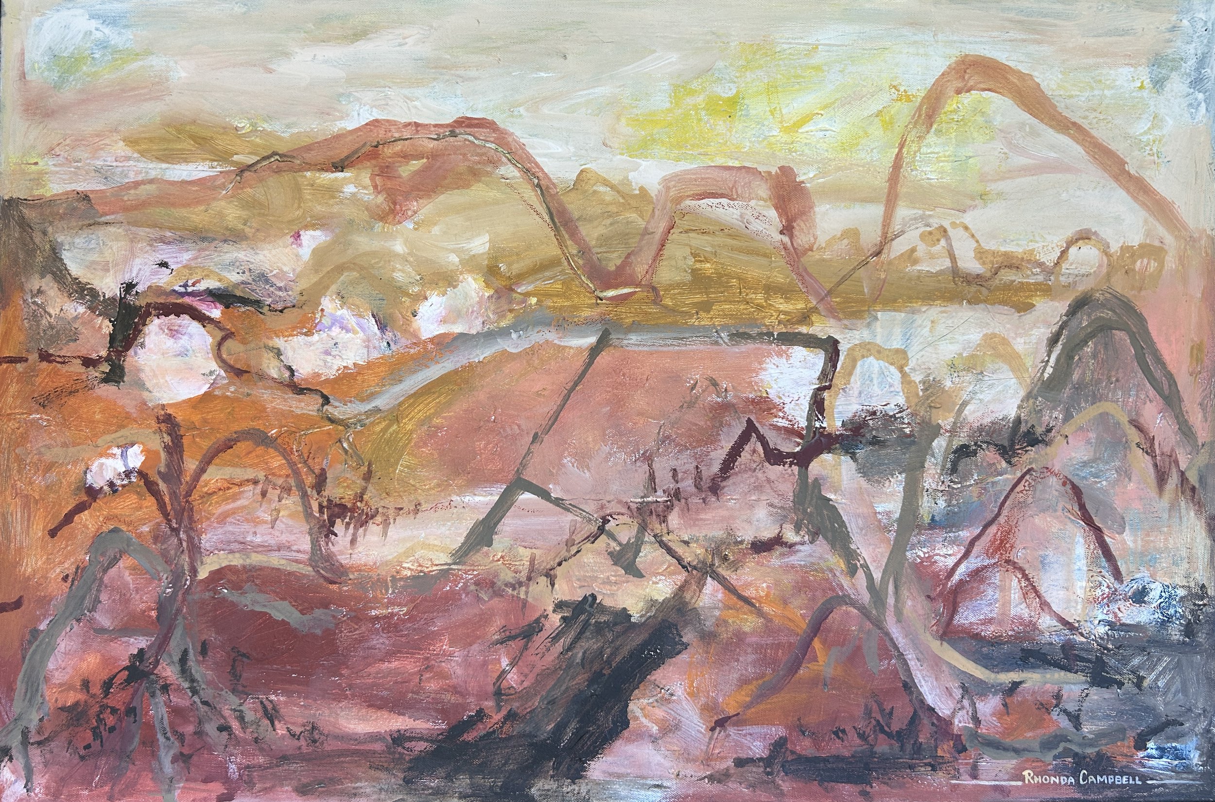 flight over flinders ranges.jpg