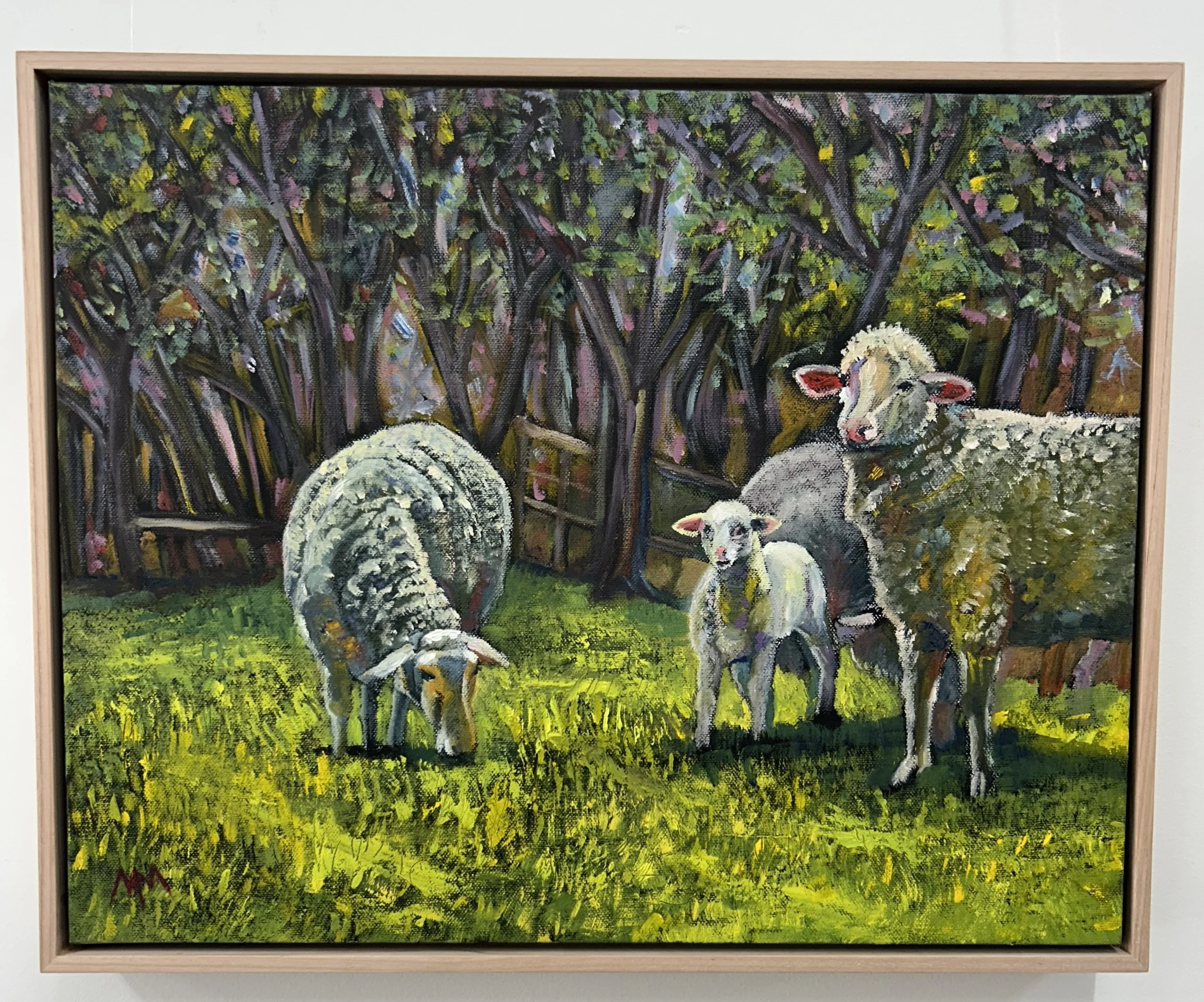 "Little grazing family" (early morning series) by Megan Markotany