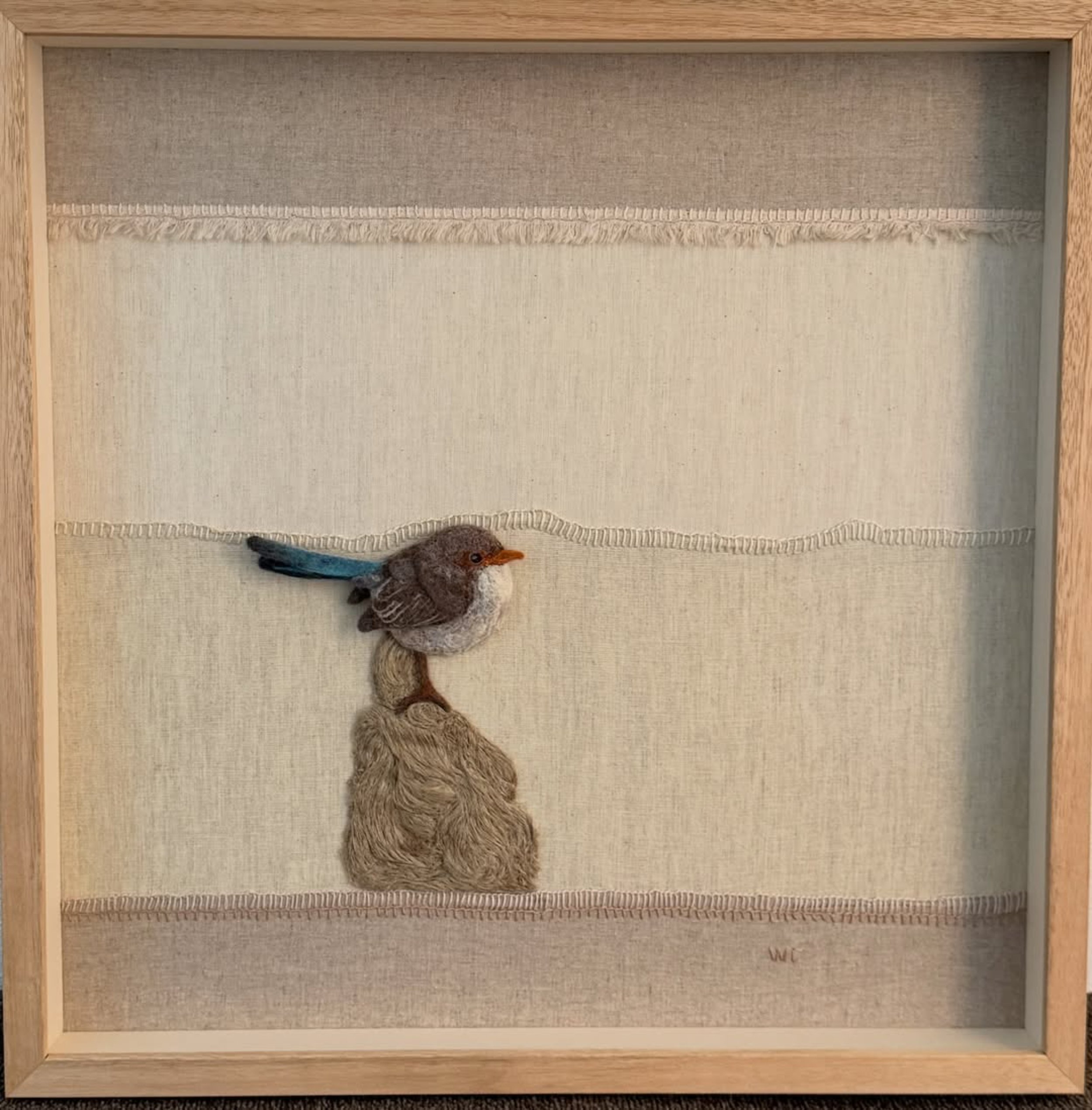 'Daisy'  female superb wren’ by Wendy Cummins
