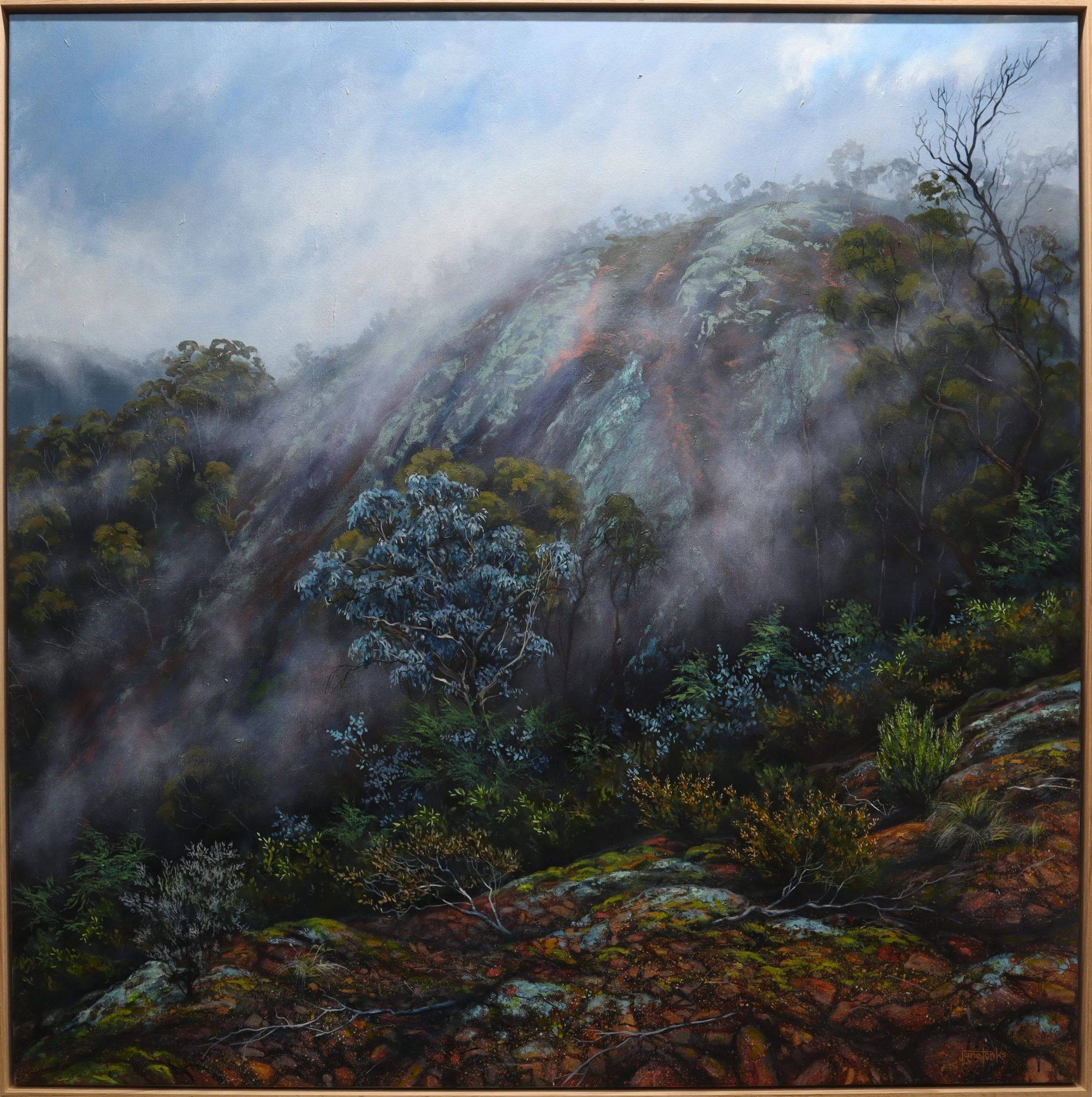 'The Walls' retreat beneath a veil of cool mist - Reduced.jpeg