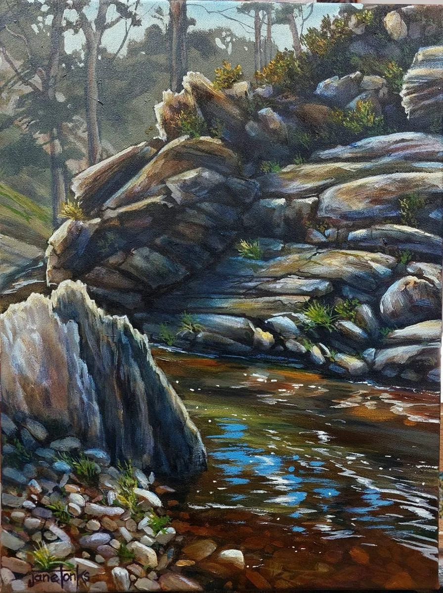 "Rocks and Reflections" by Jane Tonks