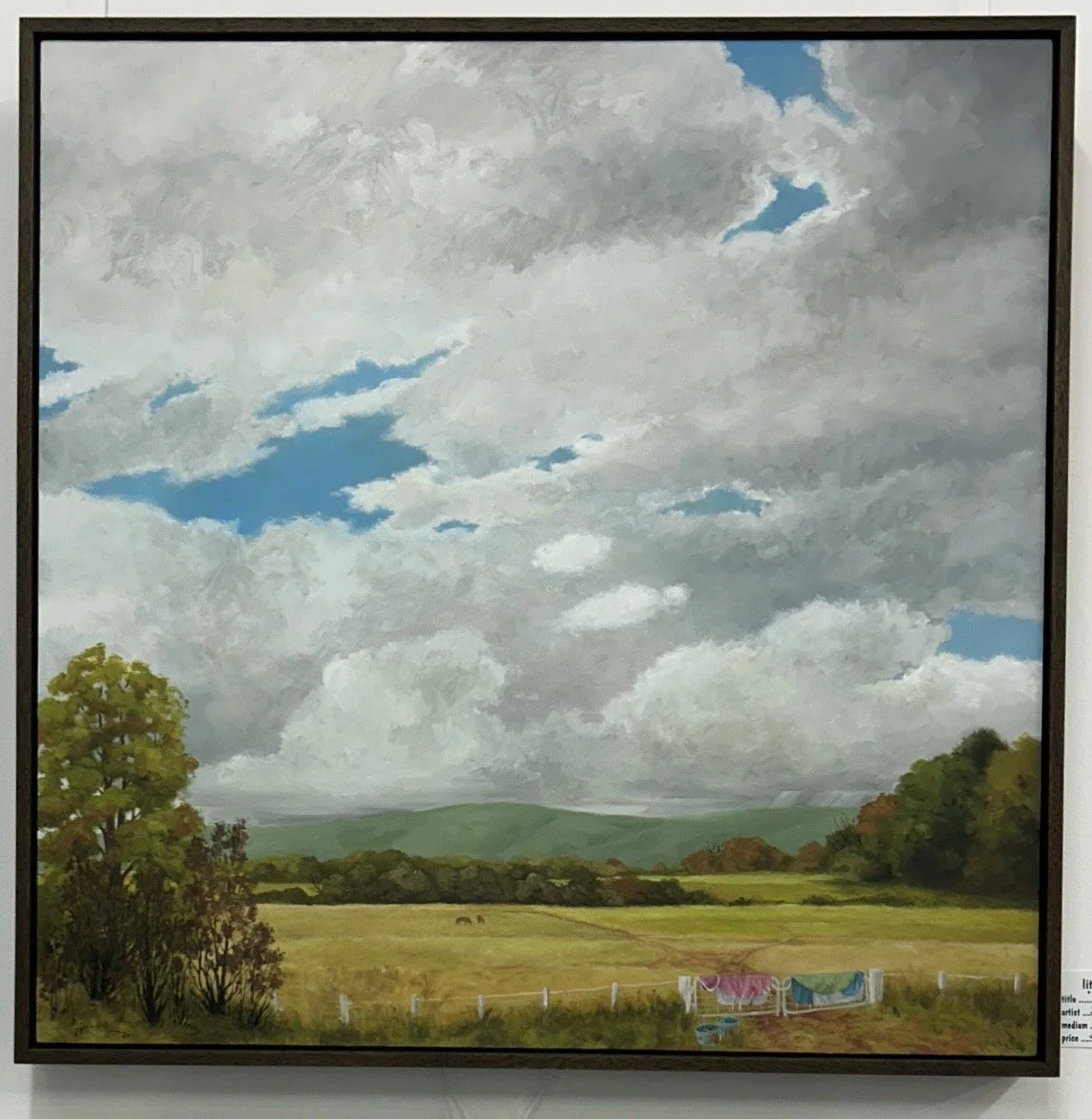 ‘Horse Blankets’ by Sarah Randall