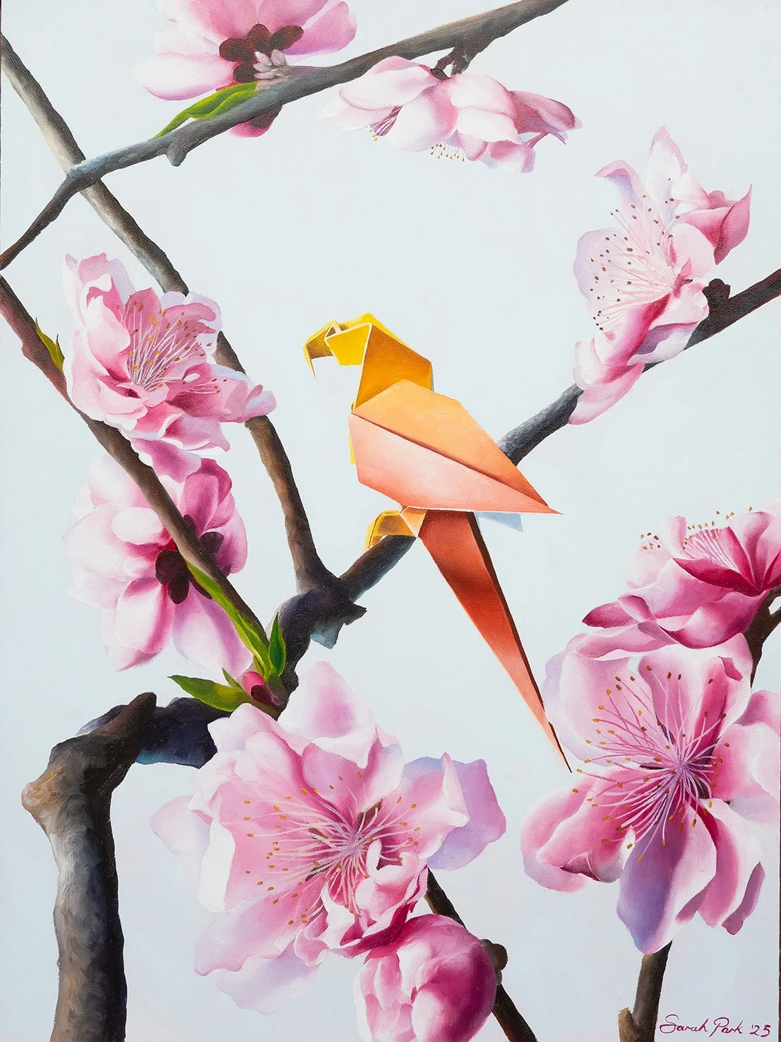 Delicate Bloom by Sarah Park