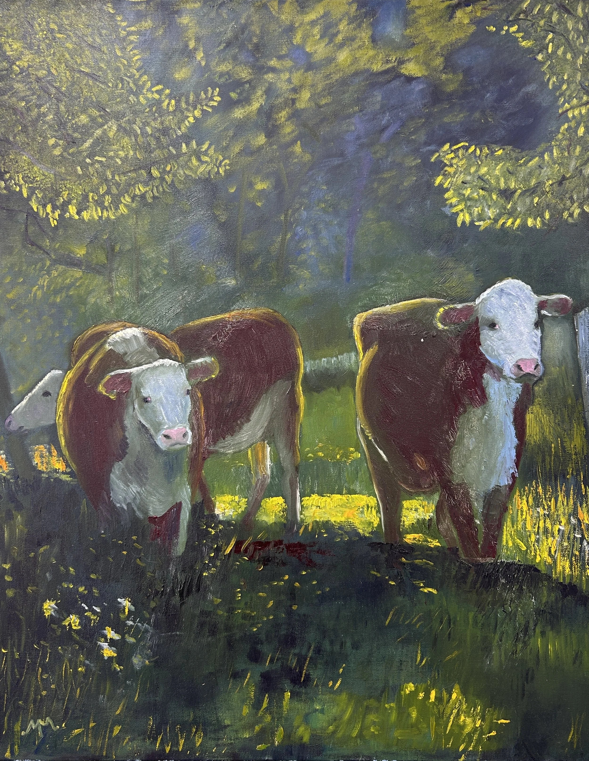"First Light" (early morning series) by Megan Markotany