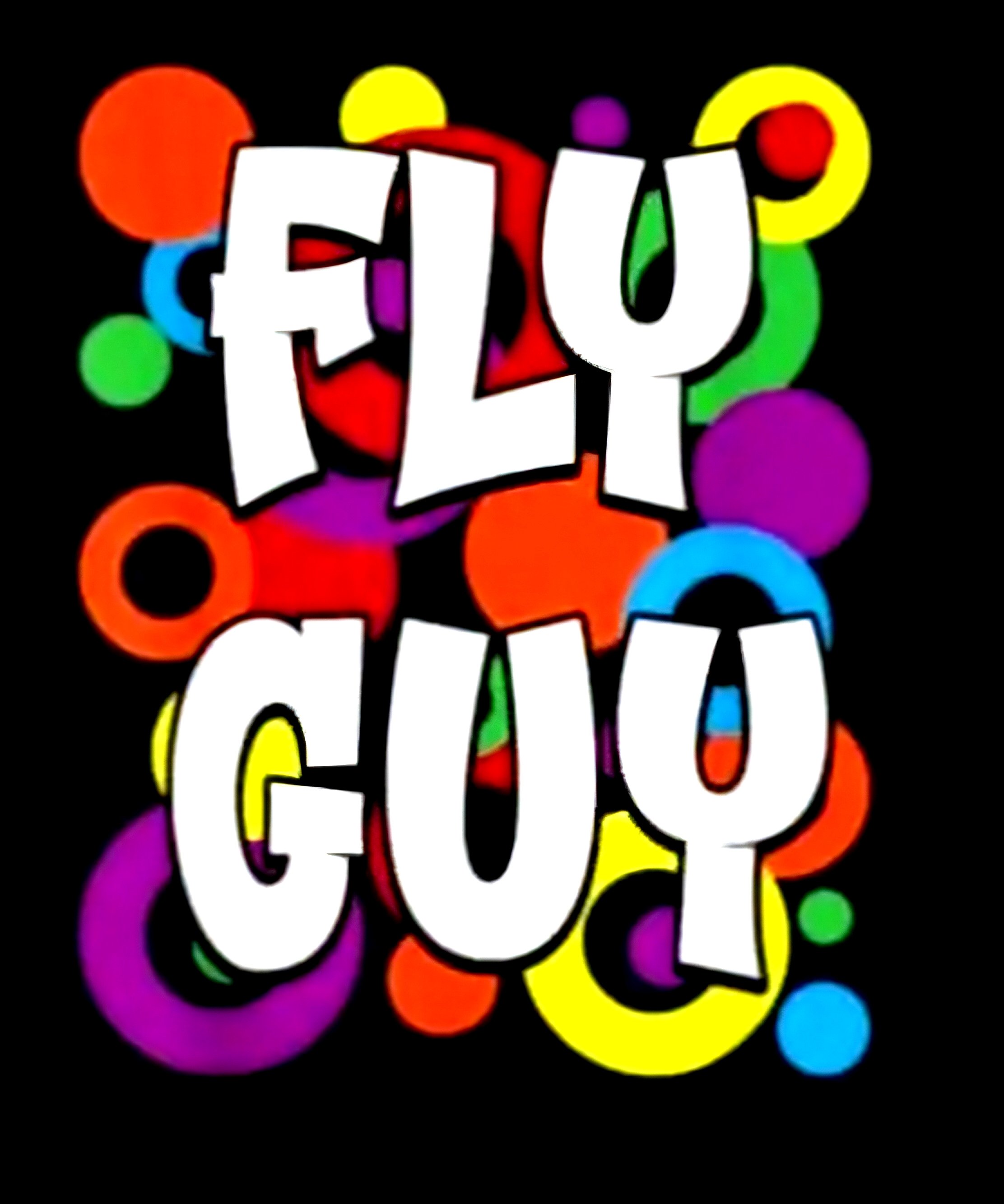 Fly Guy