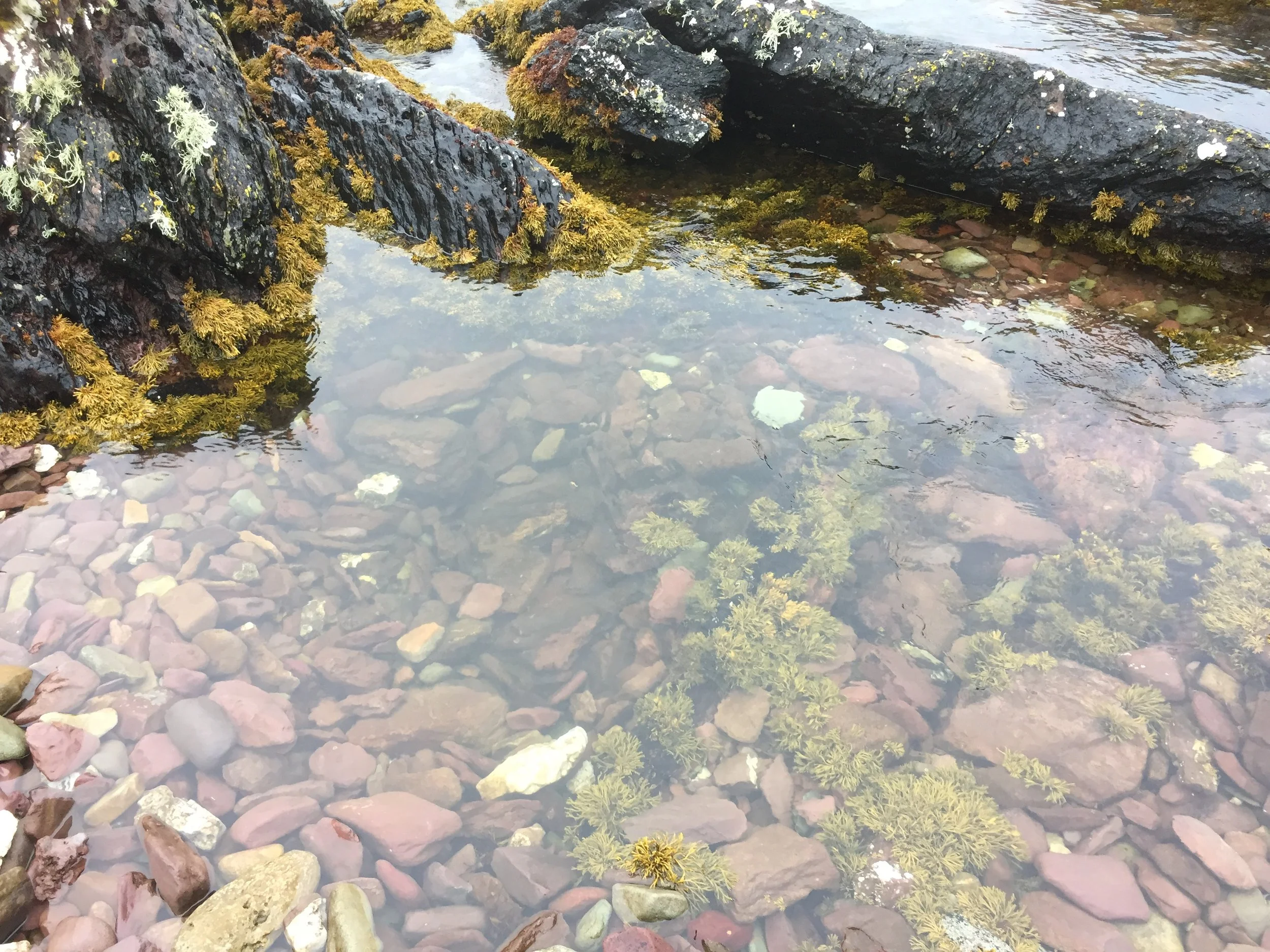 shallowrocks.JPG