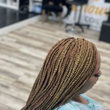 27900ef675684501ab1606b7238133-braidsbyanisadashe-inspiration-f6a050e2f3ad45d19477fb6ed2d316-booksy.jpeg