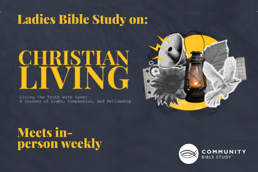 Ladies Bible Study